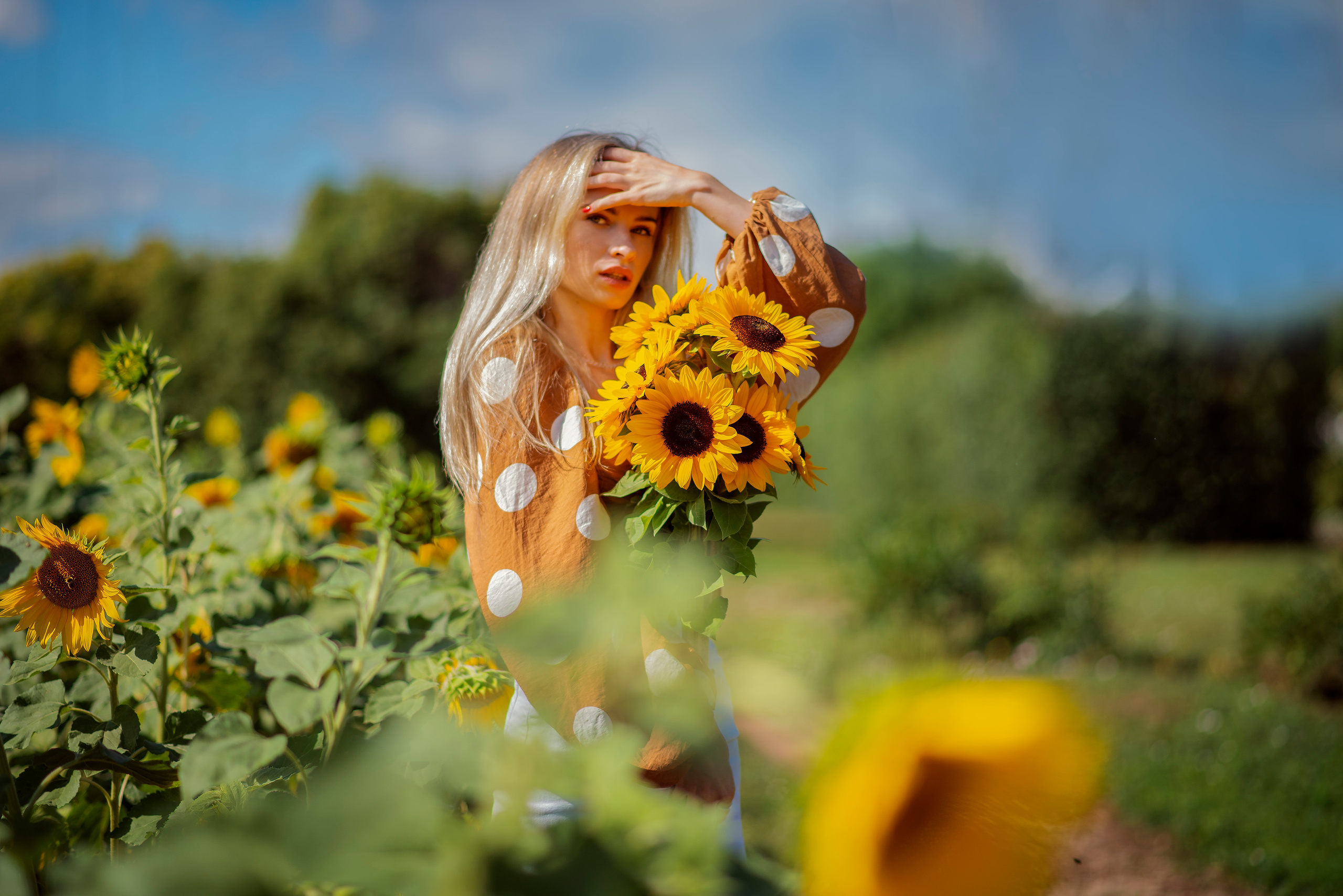Фотосессия в подсолнухах. Фотограф Полина Рыкова