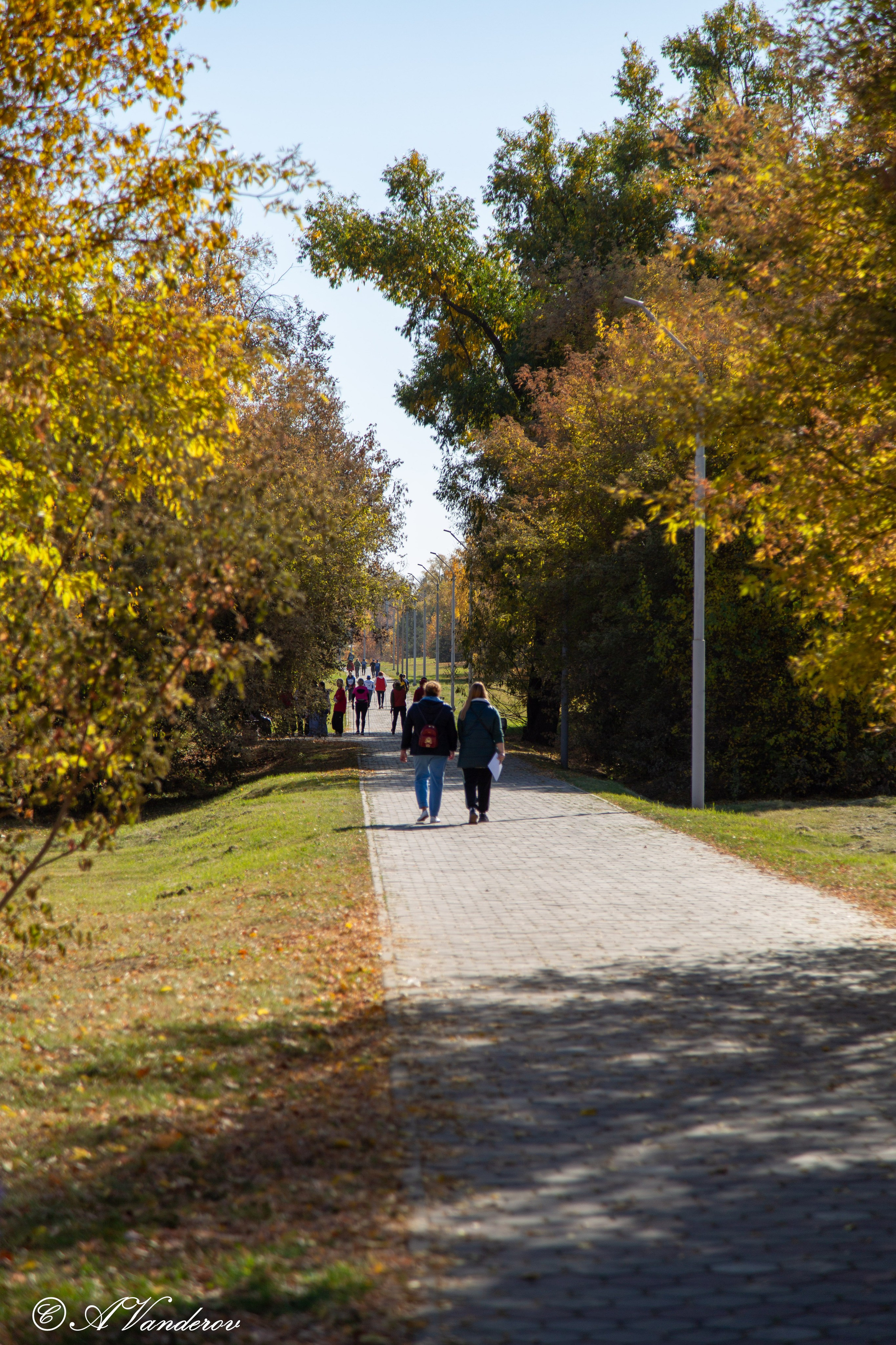 День ходьбы 2024. Фотограф Омск | Александр Вандеров