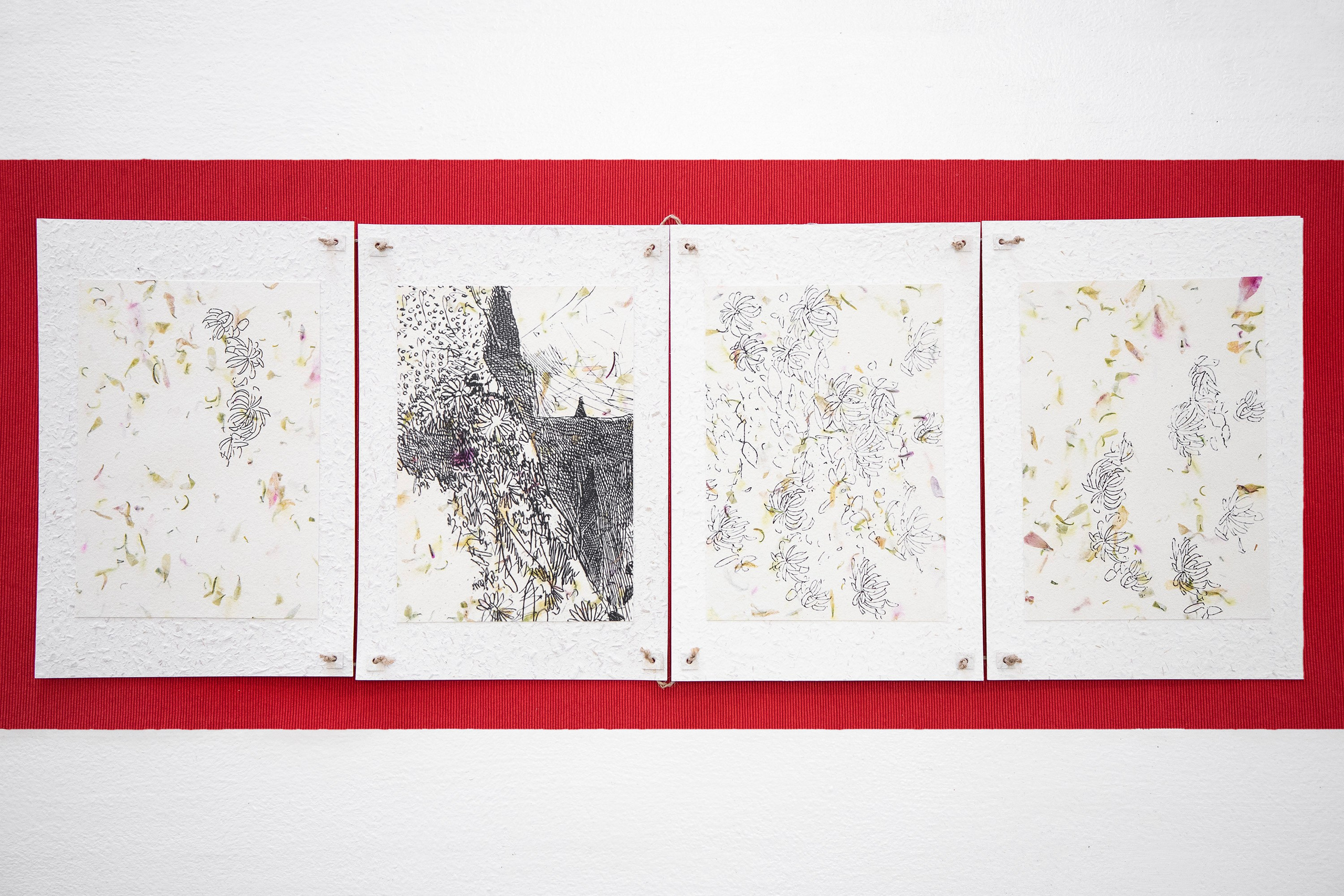 A Collection of Exercises (2023)