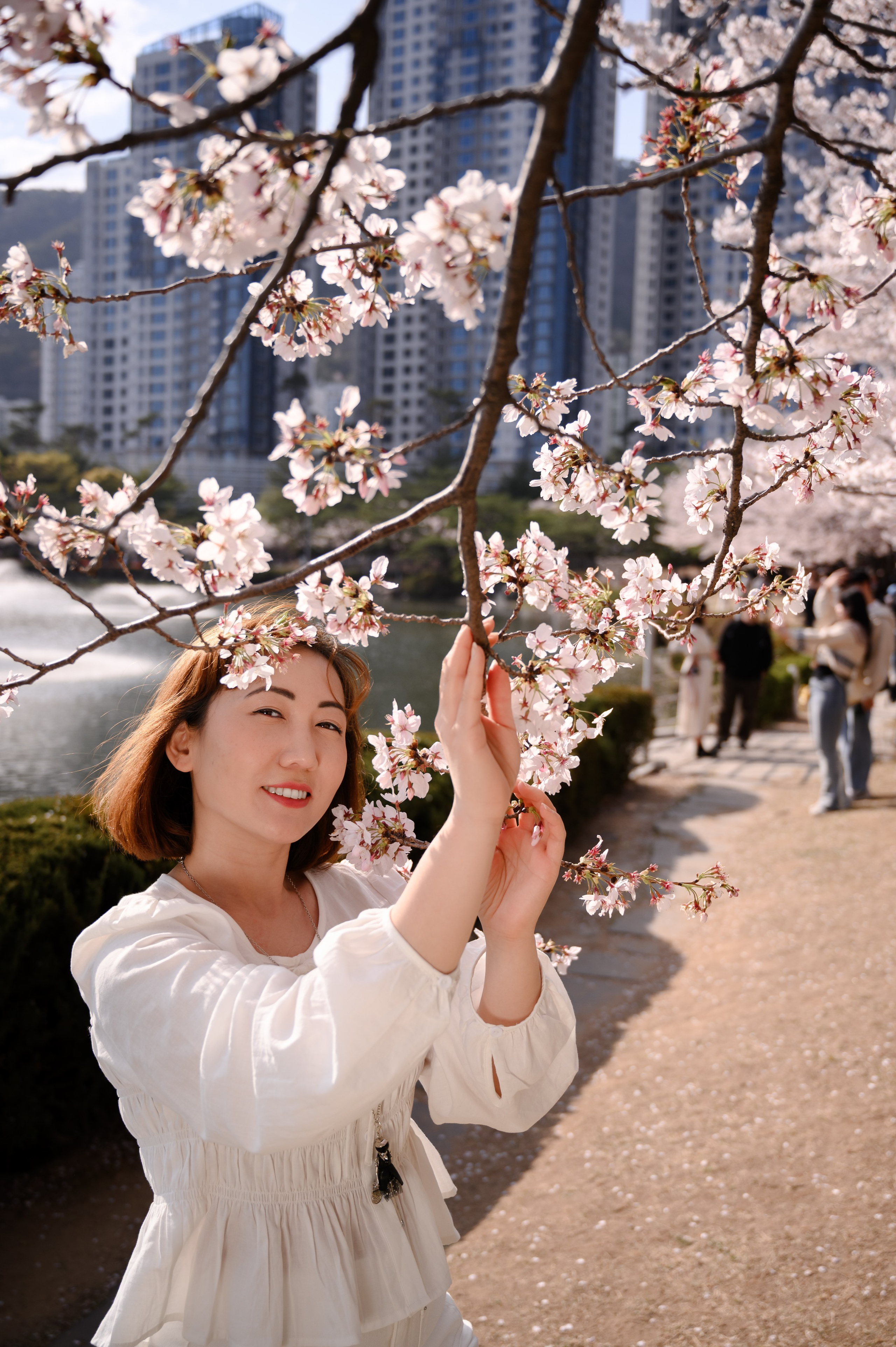 Cherry blossom portrait photoshoot at Dongbaek Island Haeundae