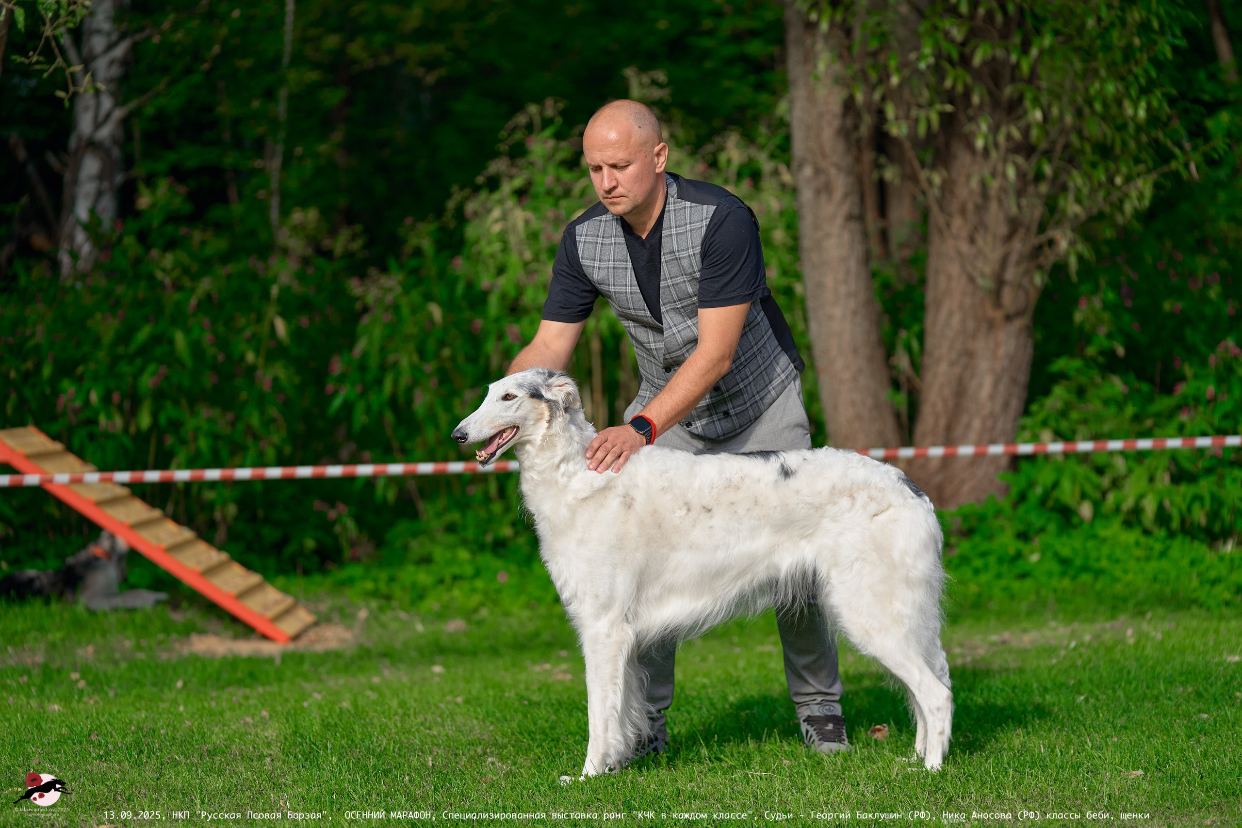 ОСЕННИЙ МАРАФОН | Специализированная выставка породы Русская Псовая Борзая ранг "КЧК в каждом классе"