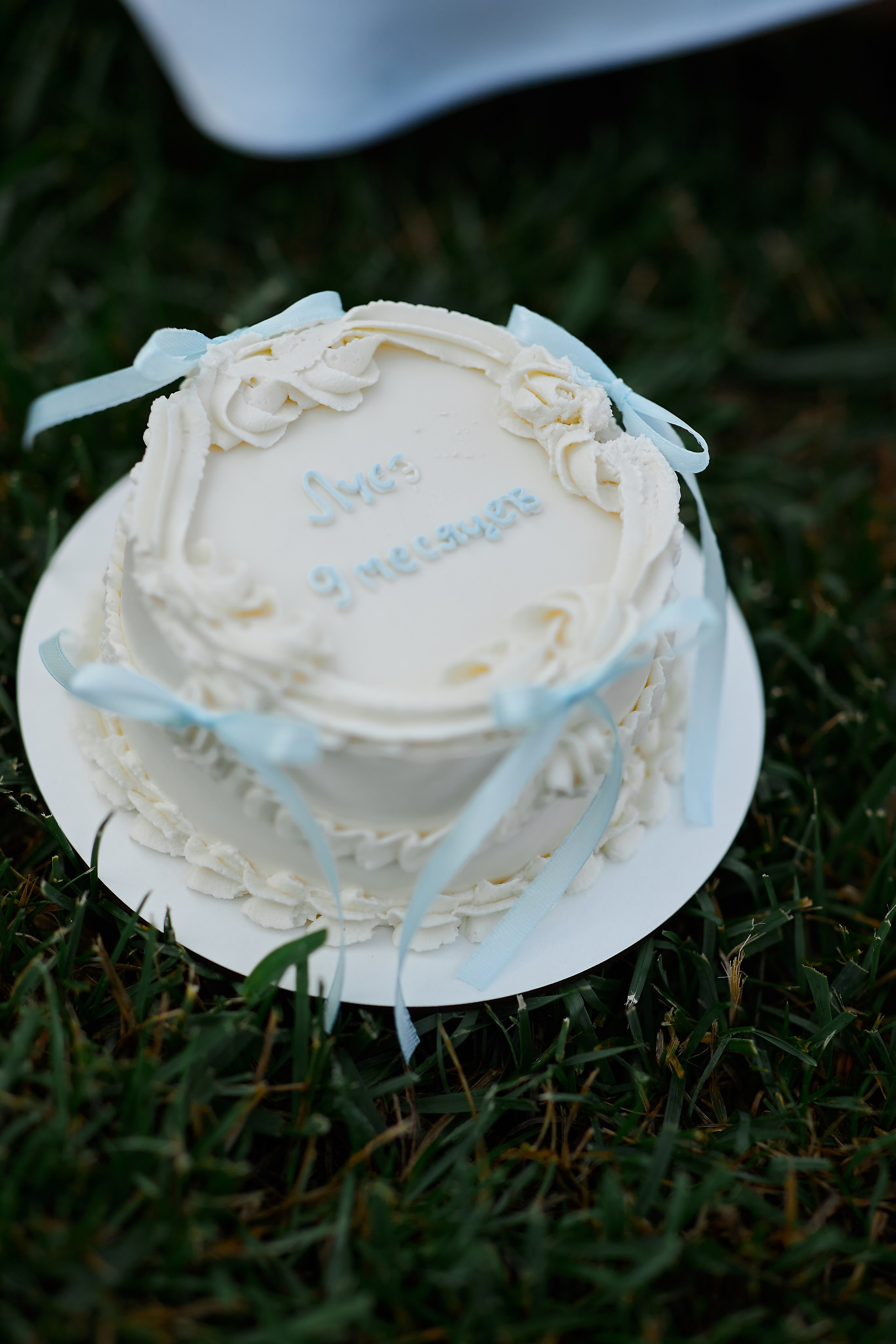 Лусэ 9 месяцев. Свадебный и семейный фотограф в Сочи-Красной поляне Ларионова Анна