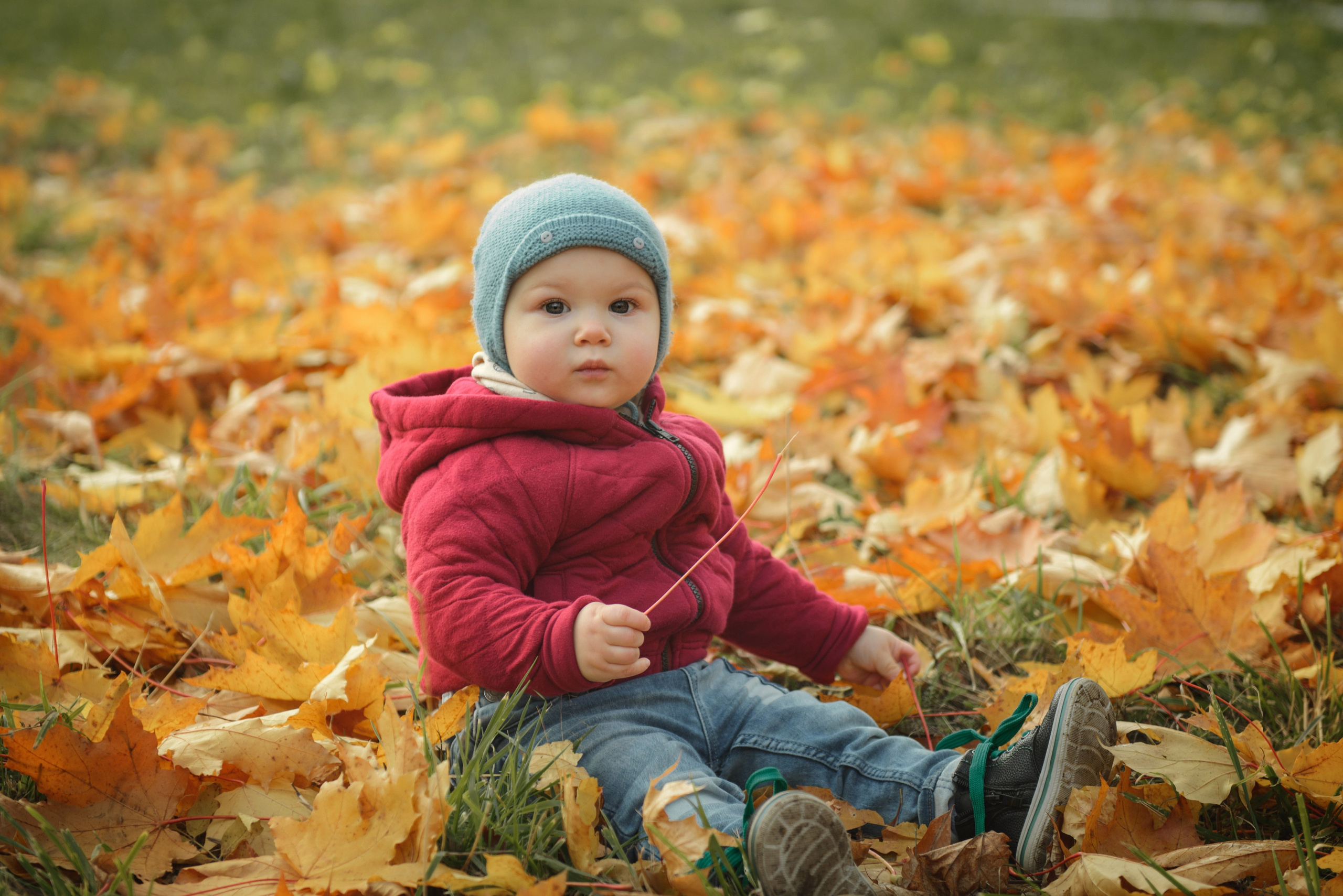 Photo shoot of a little child in autumn. Photos with yellow leaves