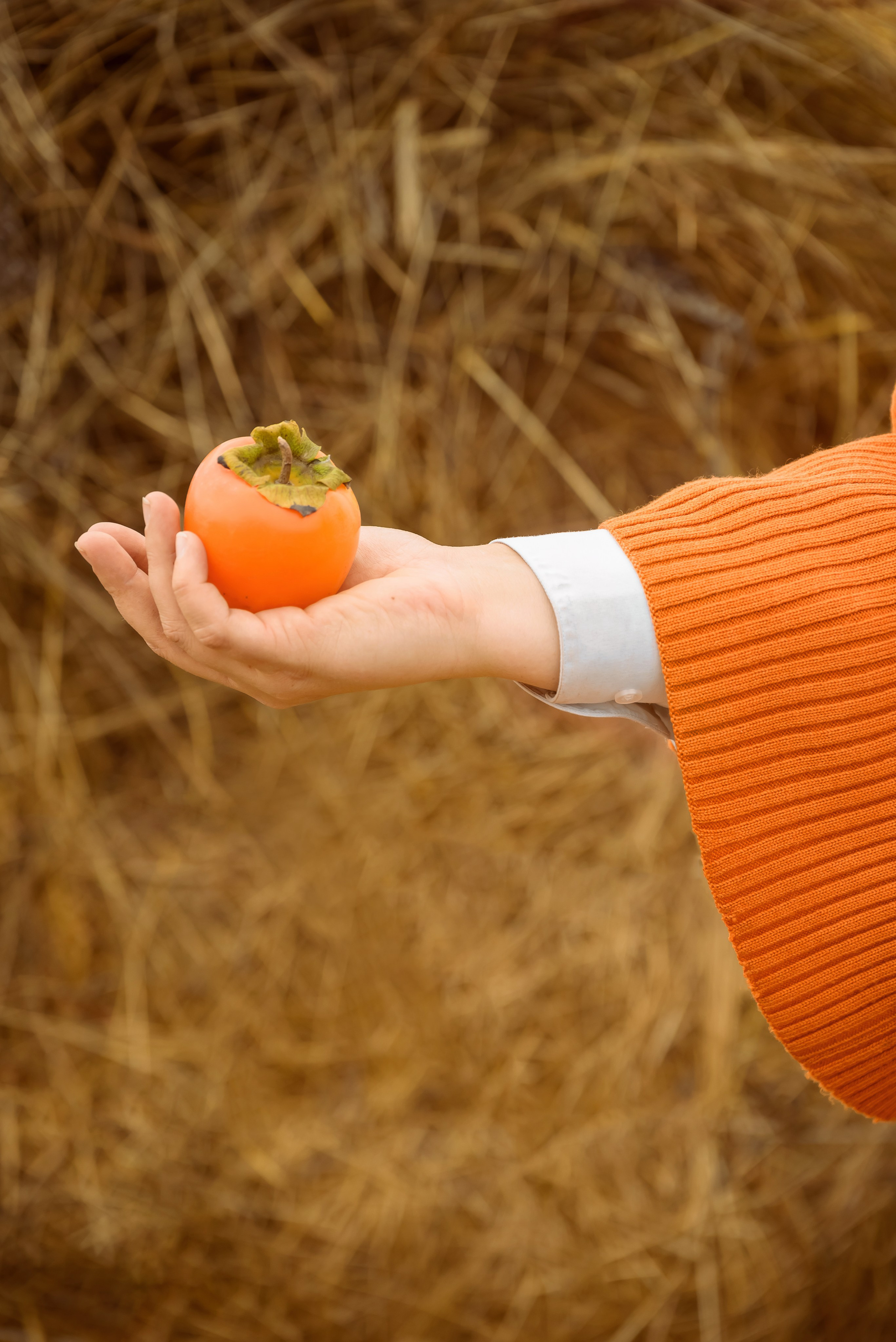 Контент-фотосессия для фотографа. Фотограф Ирина Богатырева