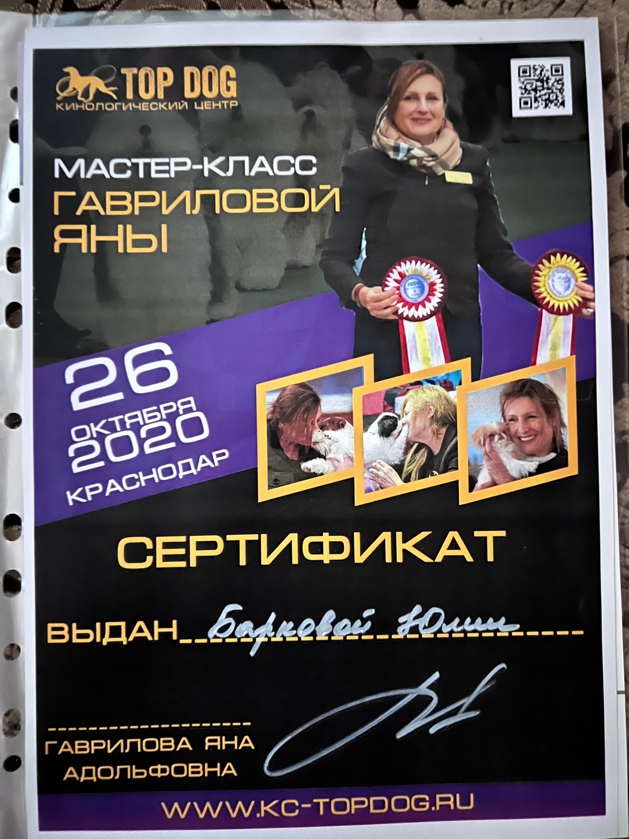 История питомника сиба-ину Шарм Грайс Краснодар