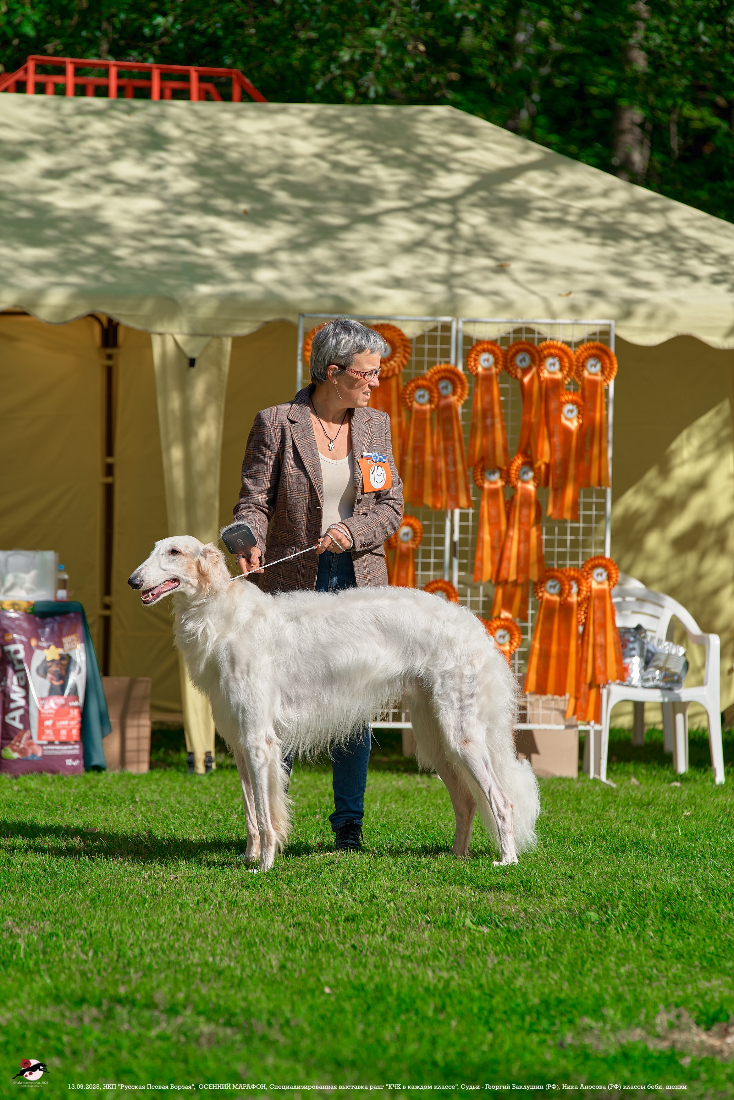 ОСЕННИЙ МАРАФОН | Специализированная выставка породы Русская Псовая Борзая ранг "КЧК в каждом классе"
