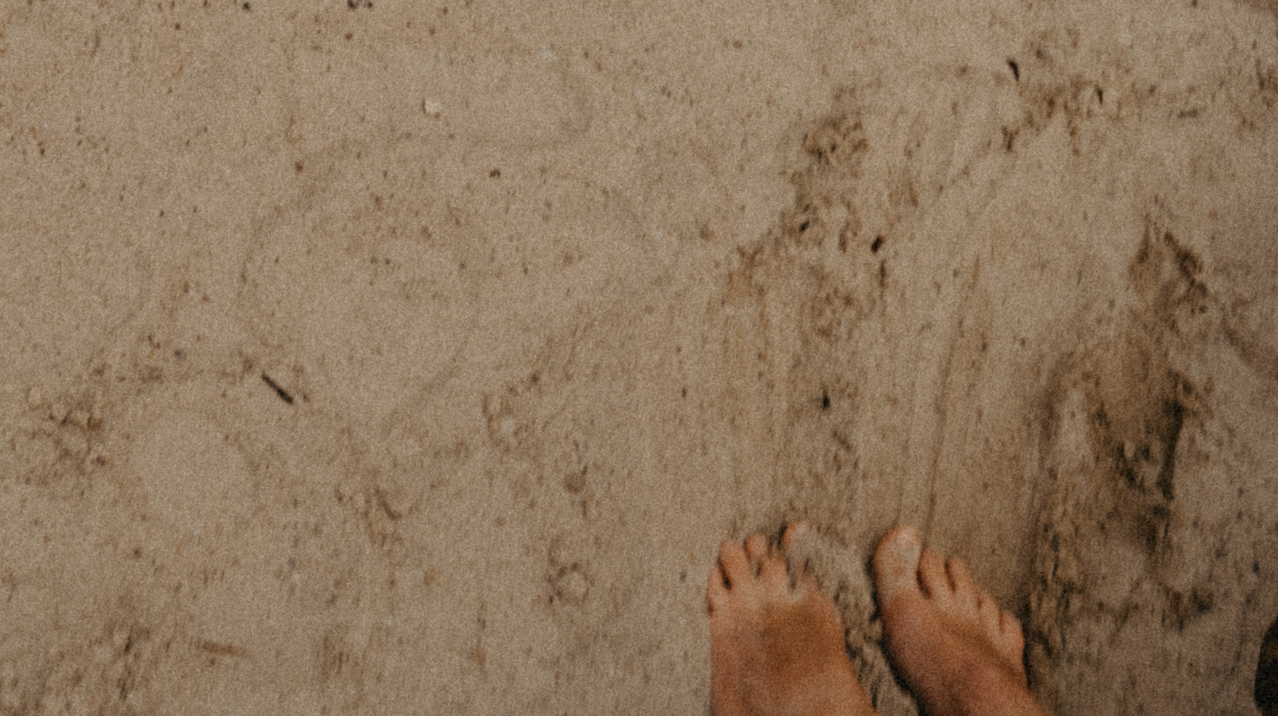 Семейный фотограф в Москве Полина Курданина