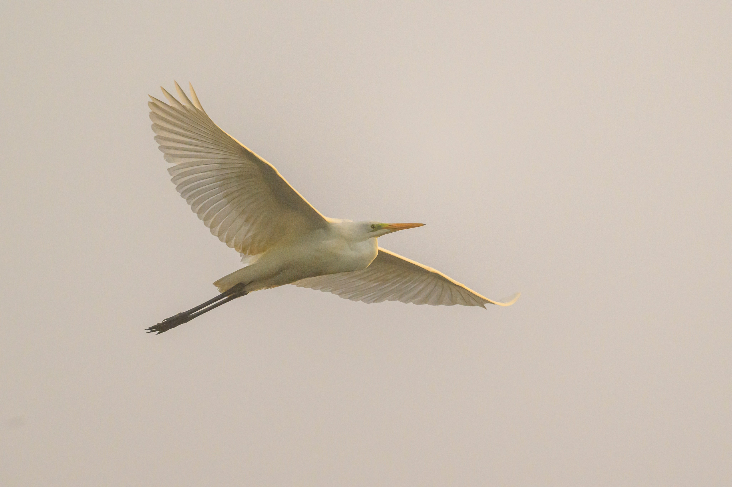 После шторма. After the storm. Фотограф Сергей Пупонин