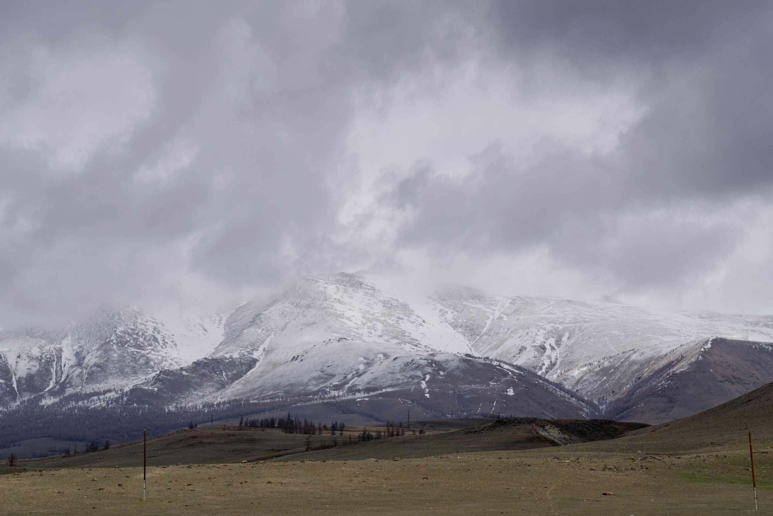 горный район Актру, Курайская степь