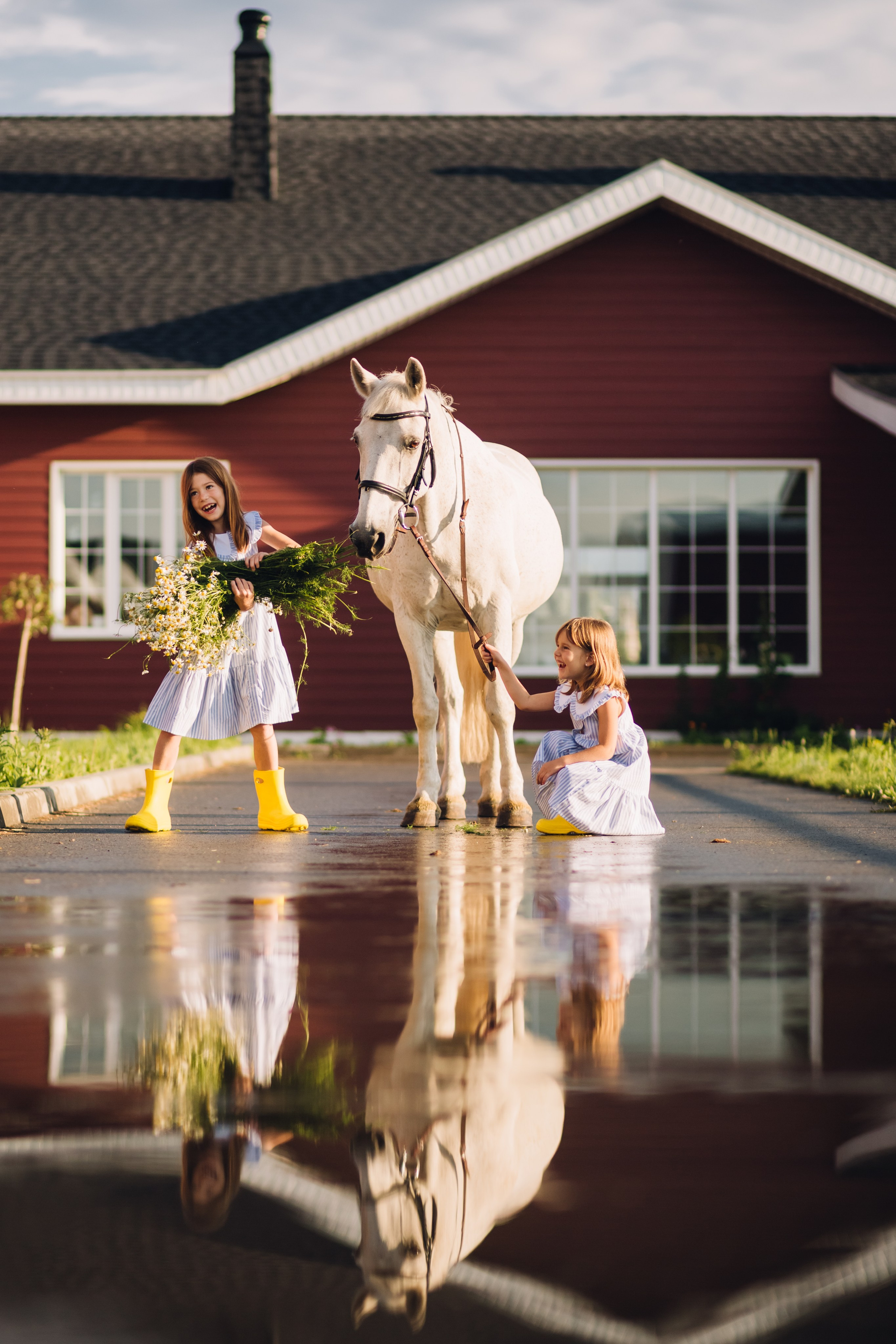 Фотосессия с лошадьми в Магнитогорске, фото с лошадью Магнитогорск, конная фотография, фотограф Магнитогорск, фотосессия Магнитогорск, конный фотограф, женский портрет, портрет с лошадью