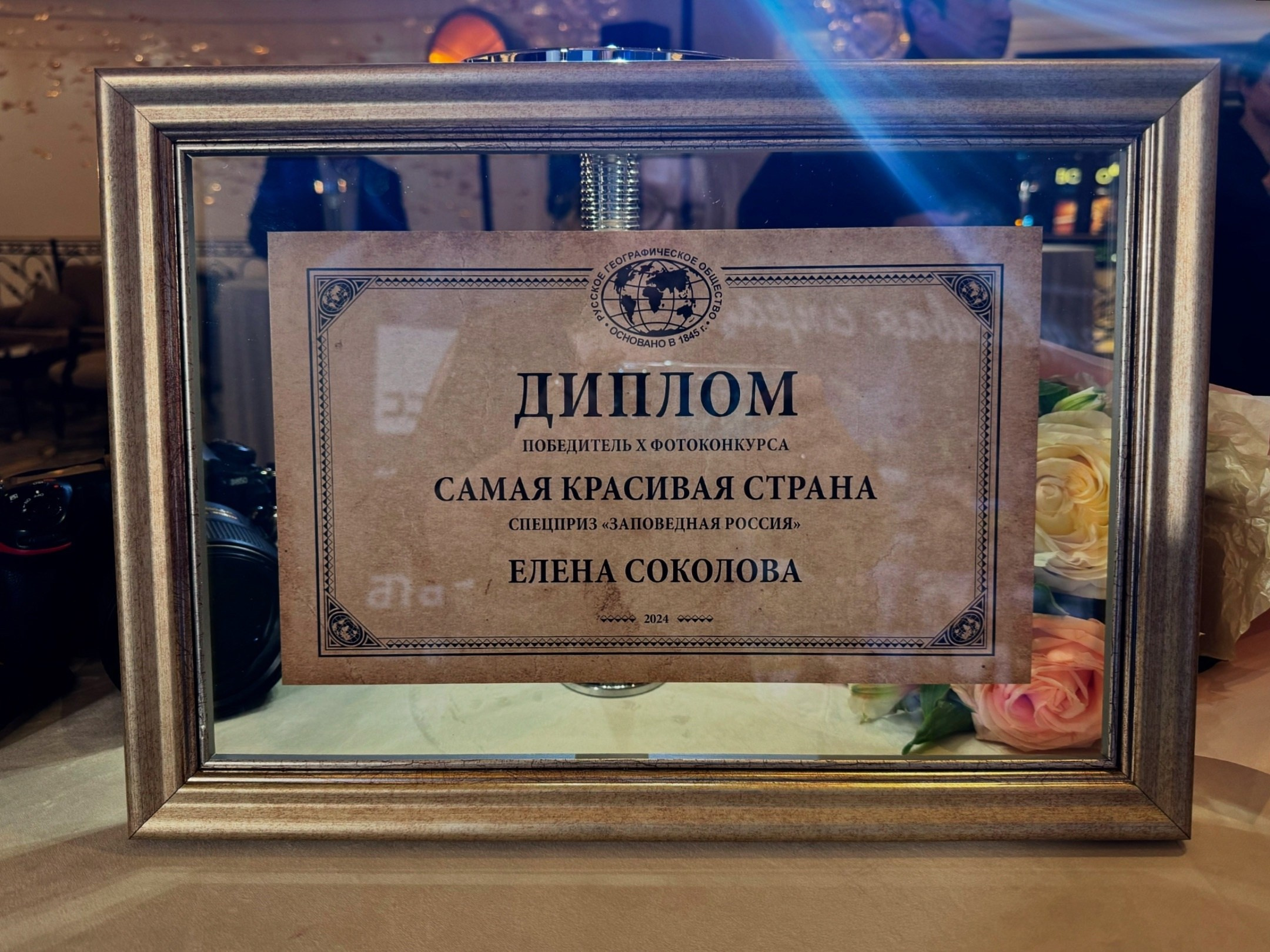 Новости. Фотографии Лены Соколовой