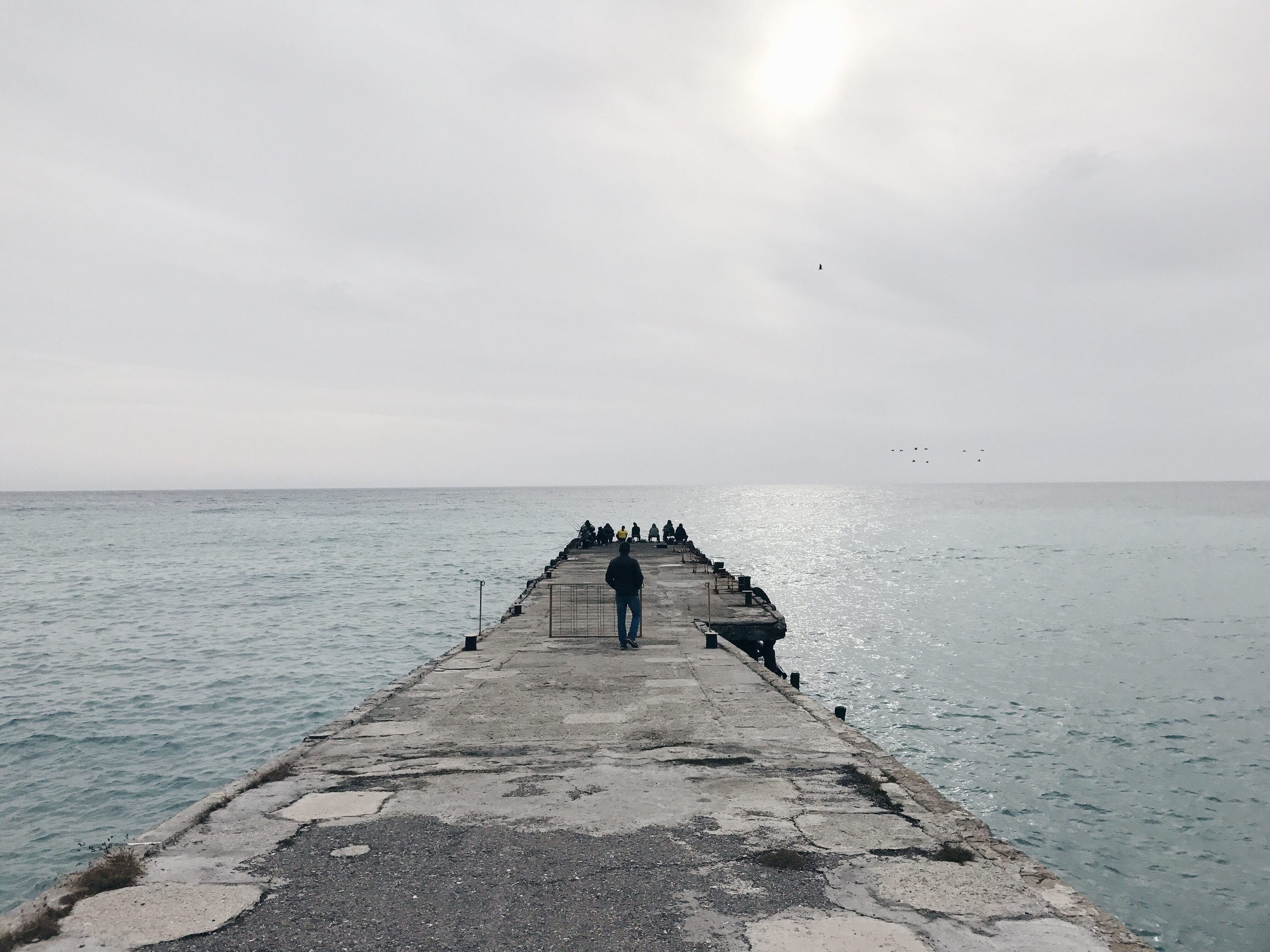 Автор: Екатерина Тимофеенко