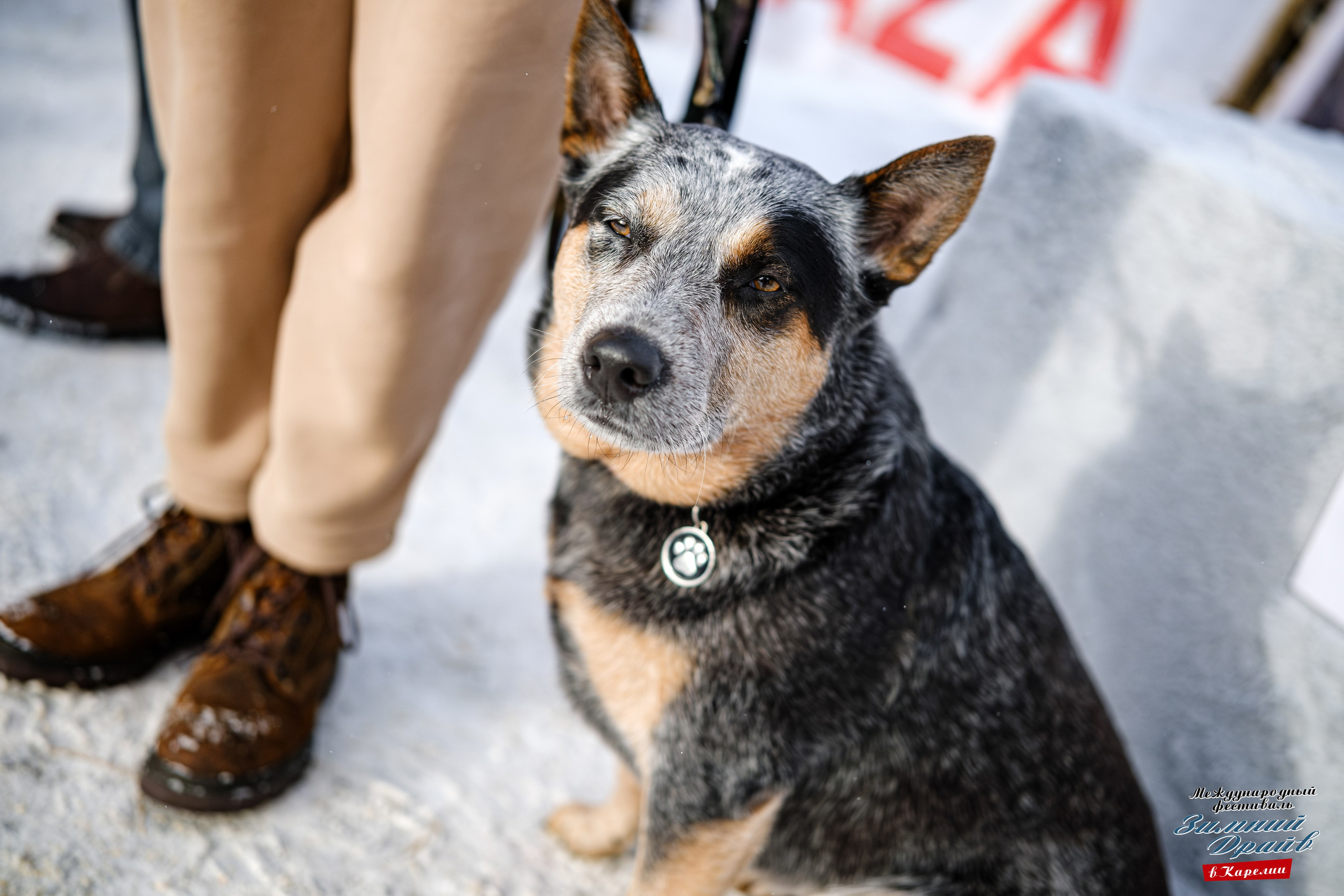 «Зимний Драйв в Карелии» Авто Марафон-гигант «25 часов на льду» Илона Накутис, Николай Грязин, джимхана, фотограф Антон Медведев, icoguar, Сортавала, Карелия