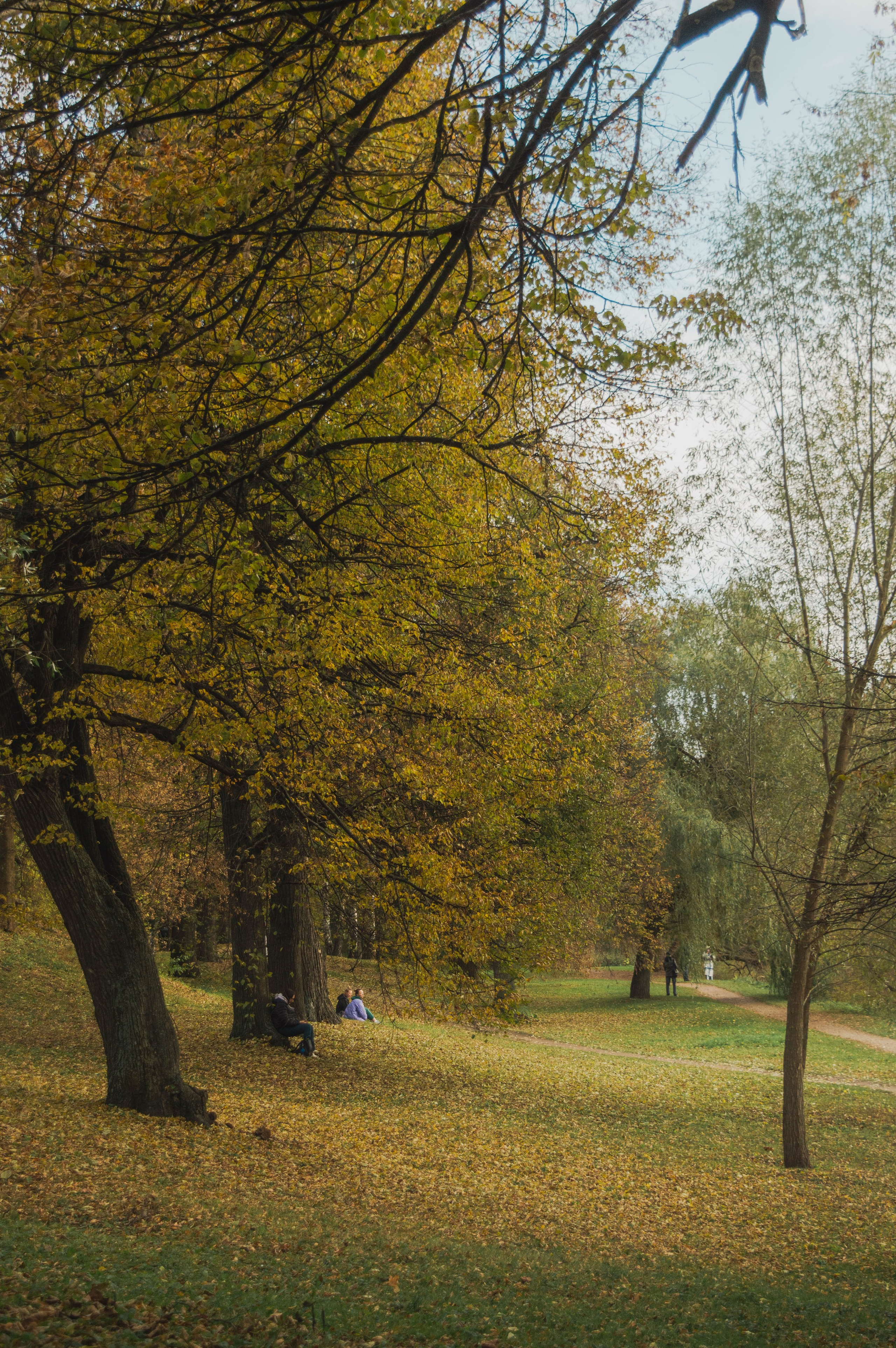 Октябрь в городе. Фотограф Анастасия Лощакова в Москве