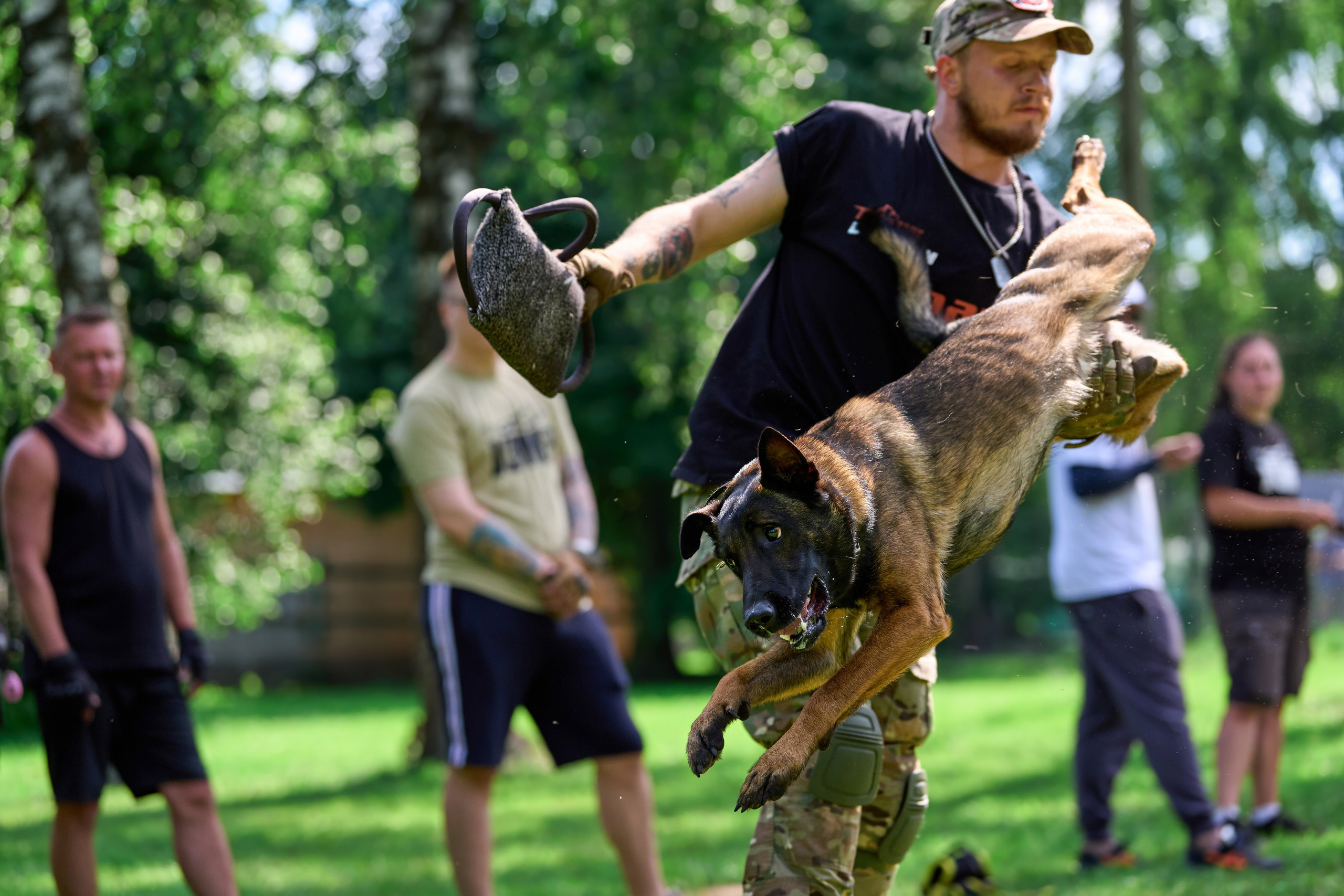 Двухдневные соревнования «Jump'n'Gym Fest — 2024». Фотограф-анималист Михаил Манухин