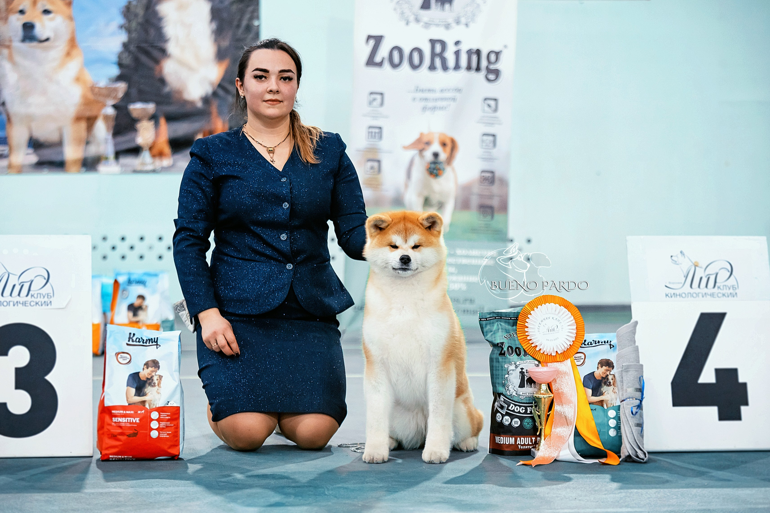 Щенки японской акита ину из питомника. Питомник собак Акита, Хаски, Корги