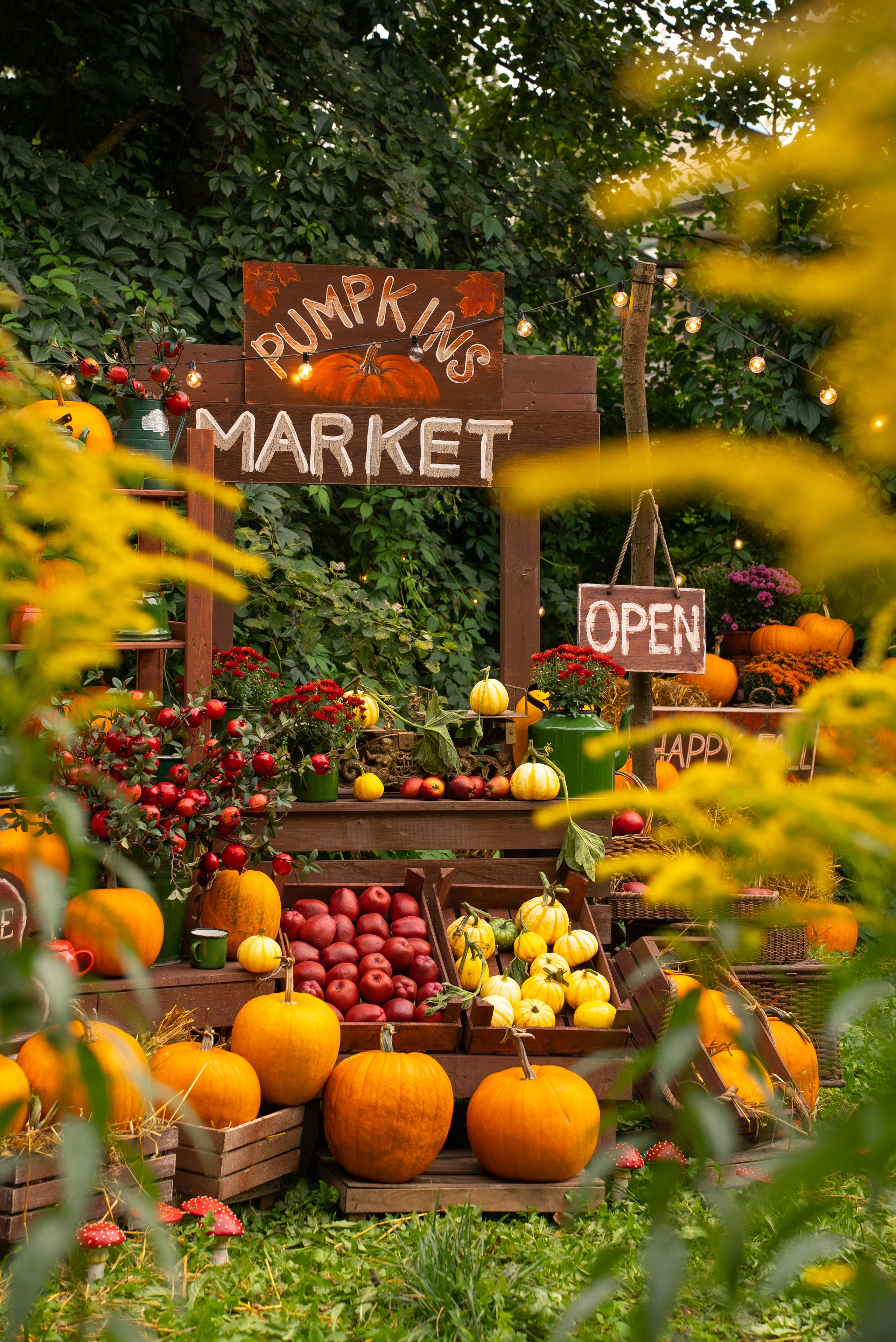 Реклама локации «РАНЧО» в YOOFOTOSKAZKA 📸+🎬. Видеограф / Фотограф  — Яна Спащанская