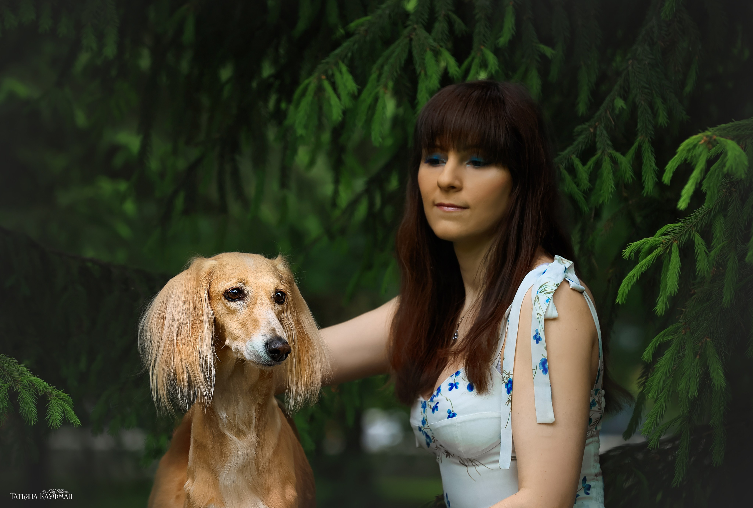 Салюки, фотография салюки, собака в цветах, красивая собака, фотограф анималист, фотокурс Анималистика, научиться фотографировать собак, фотограф Новосибирск