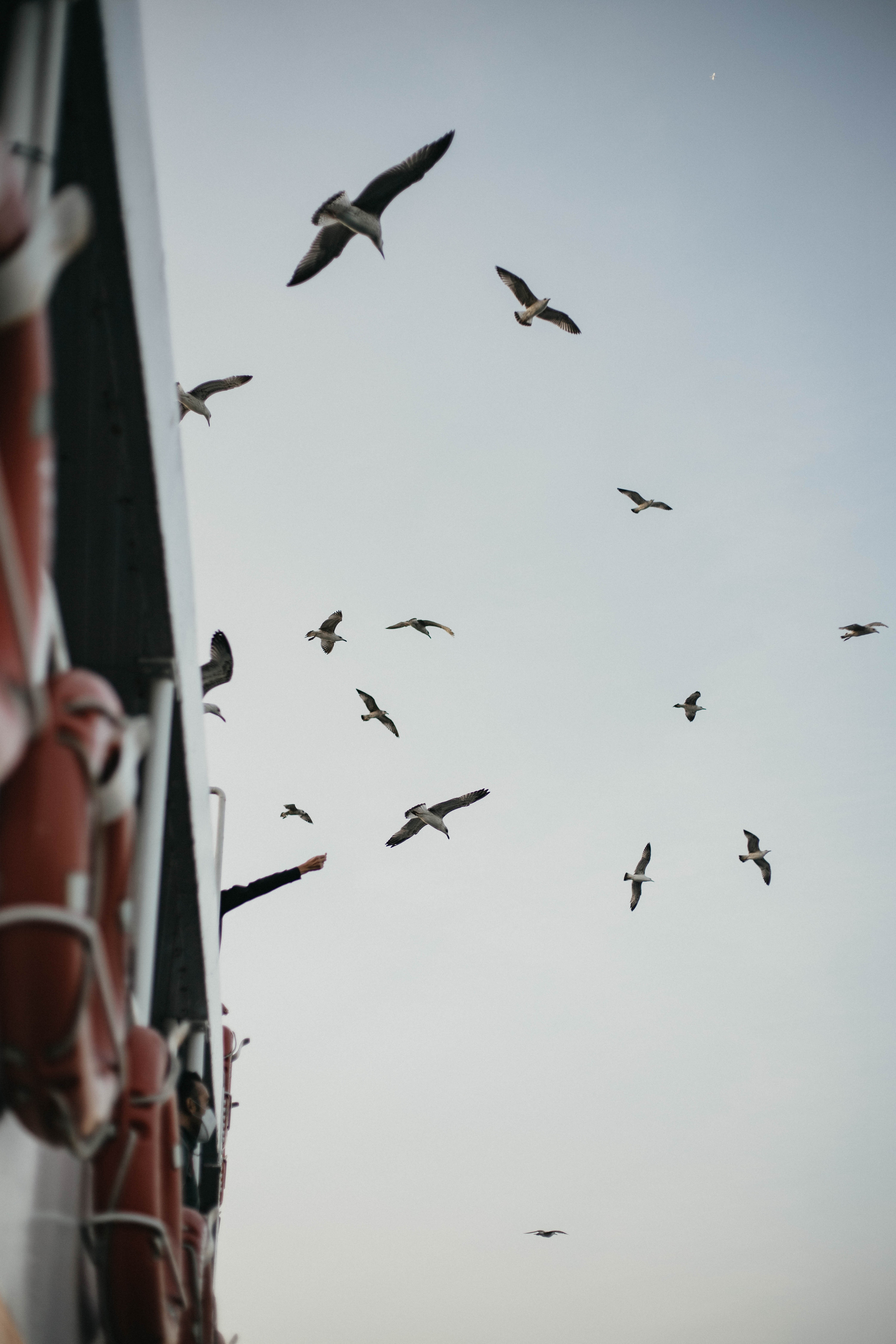 Фотограф Каролина