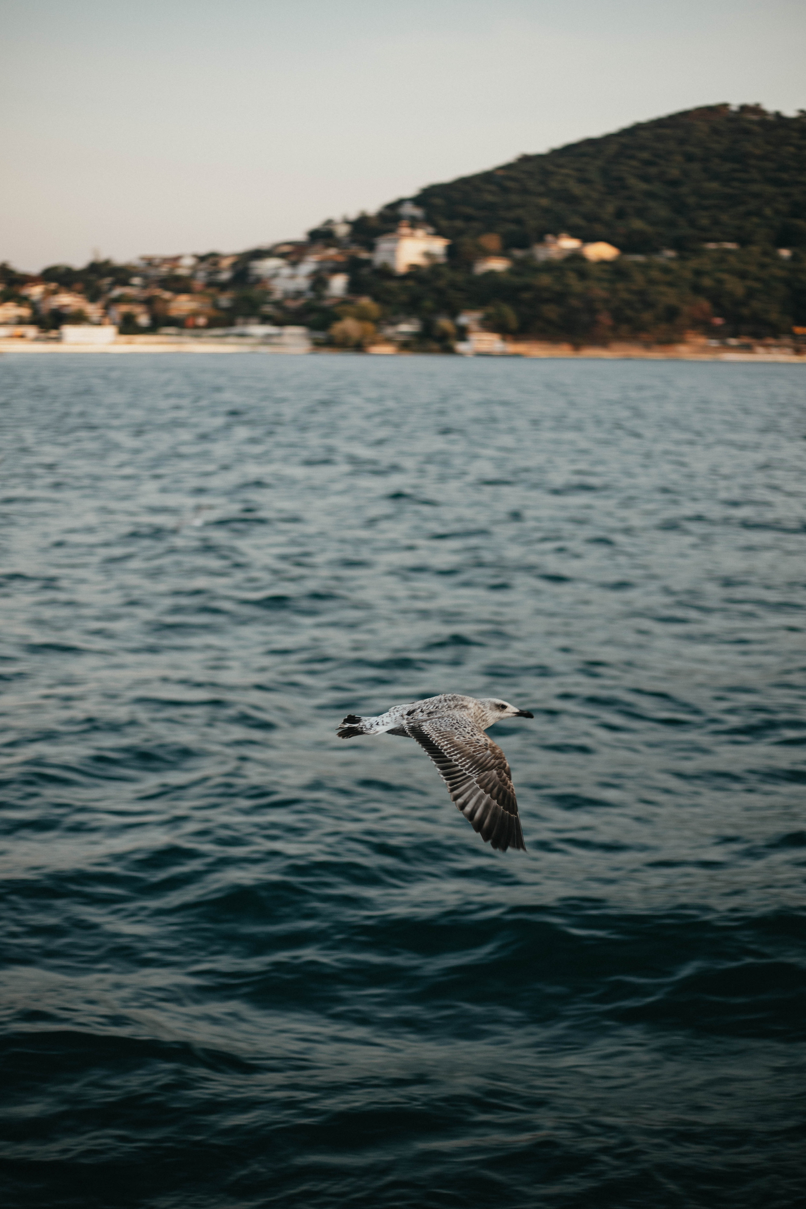 Фотограф Каролина