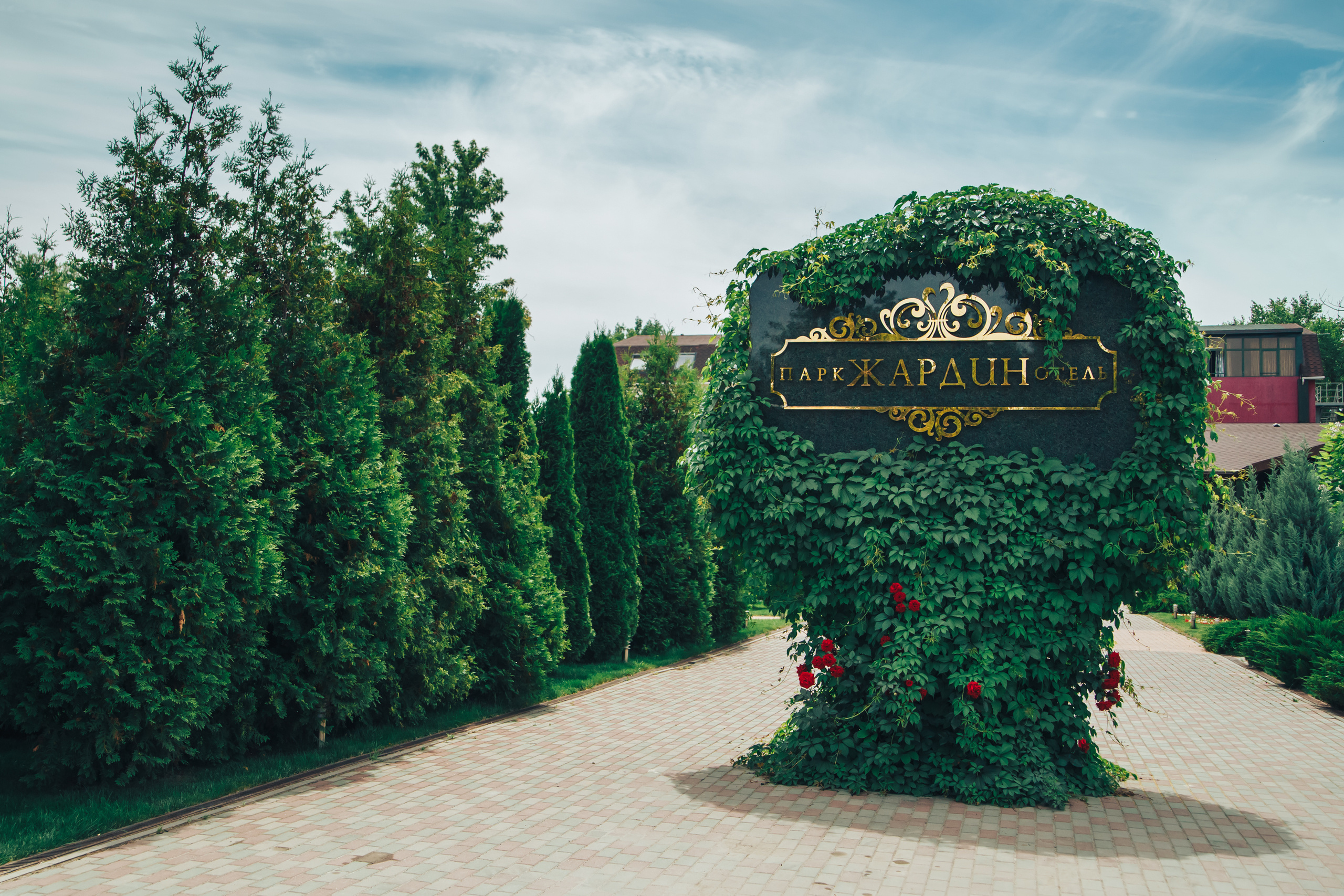 Фотограф на детский день рождения в Ростове на Дону. Фотограф Валерий Савиовский