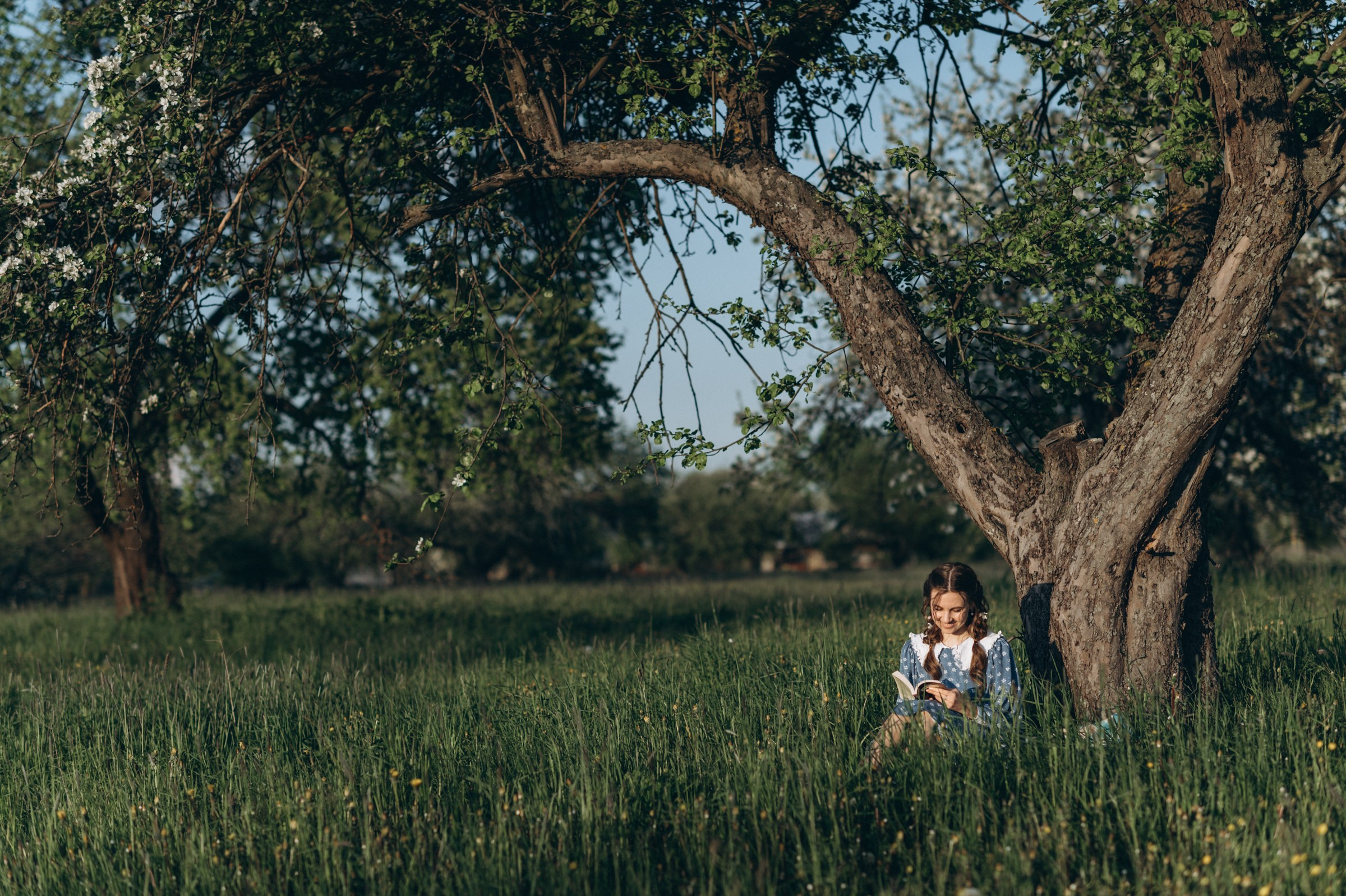 Девушка читает книгу под деревом (горизонтальное фото)