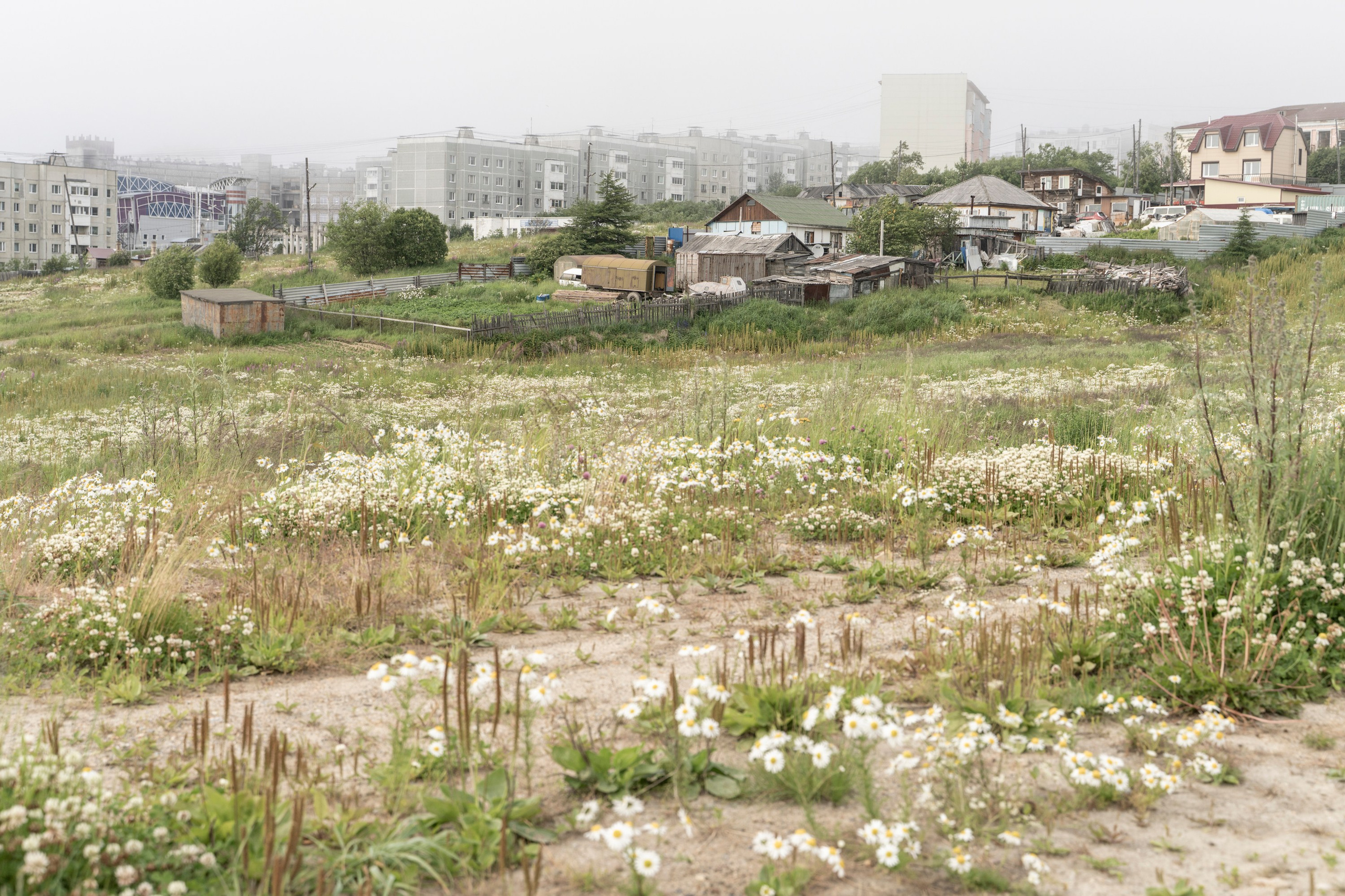 Город Солнца. Элина Гусарова