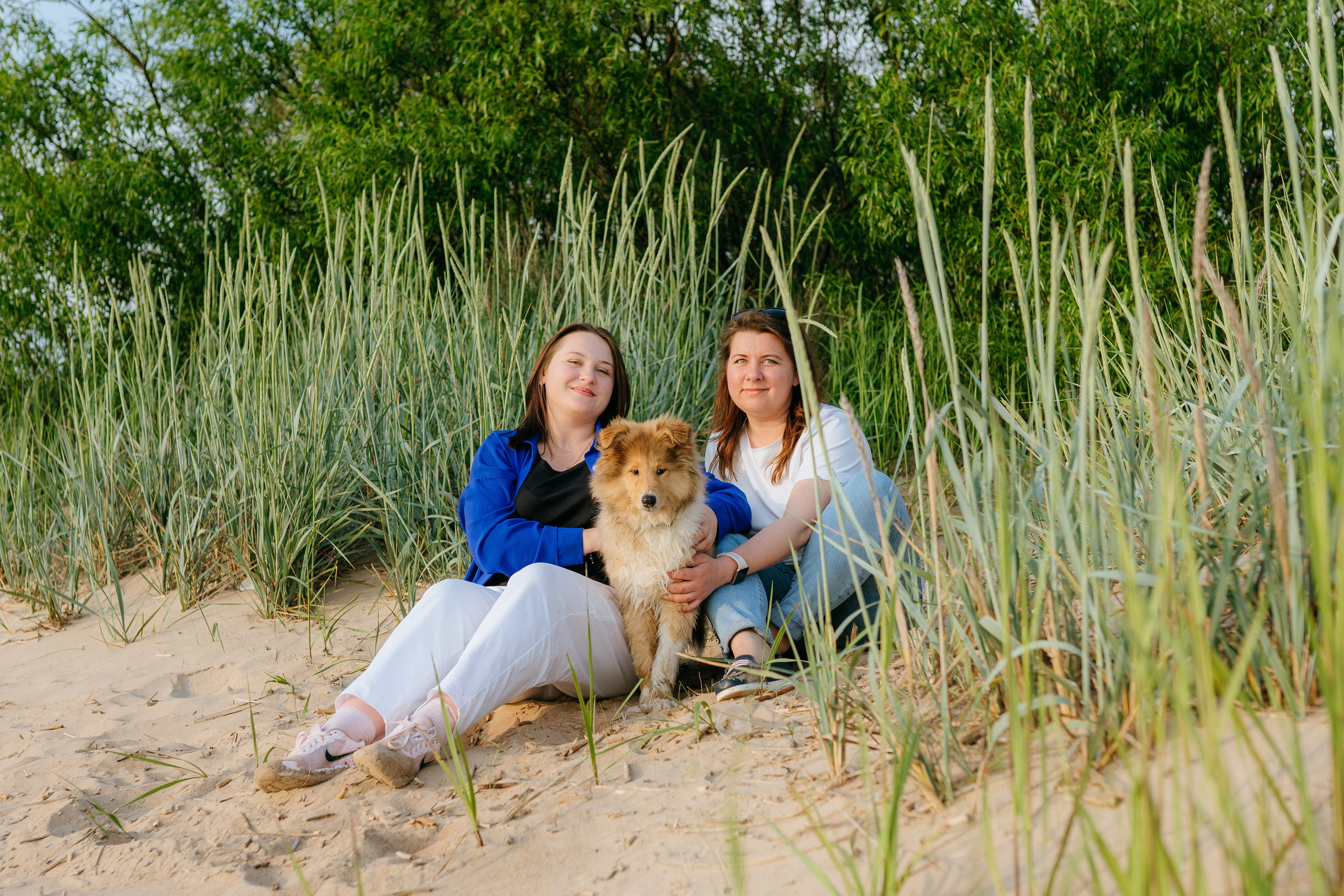 Фотосессия со щенками колли. Фотограф анималист в Спб недорого Олеся Майорова