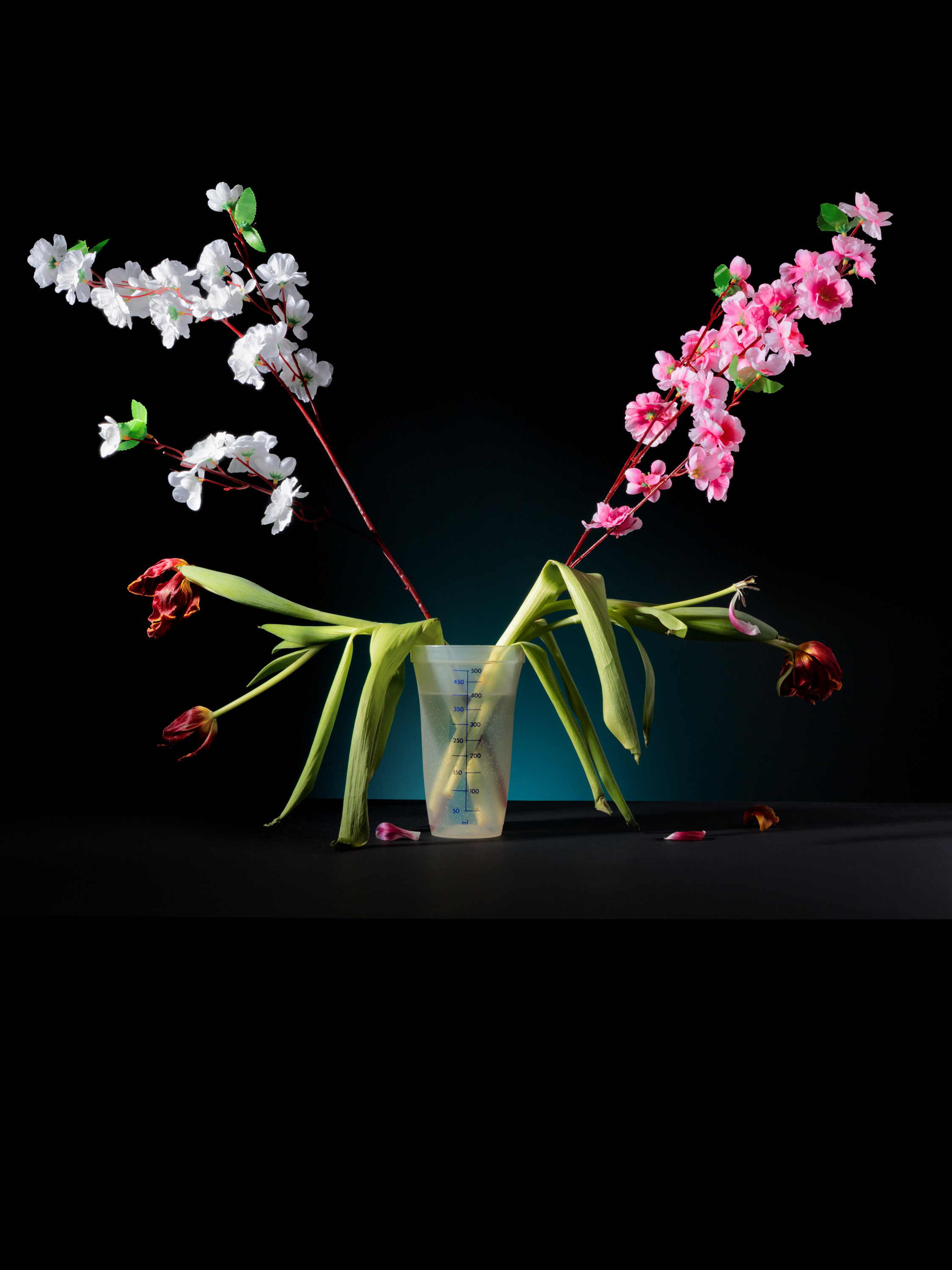 The International womens day bouquet from the CSA hall