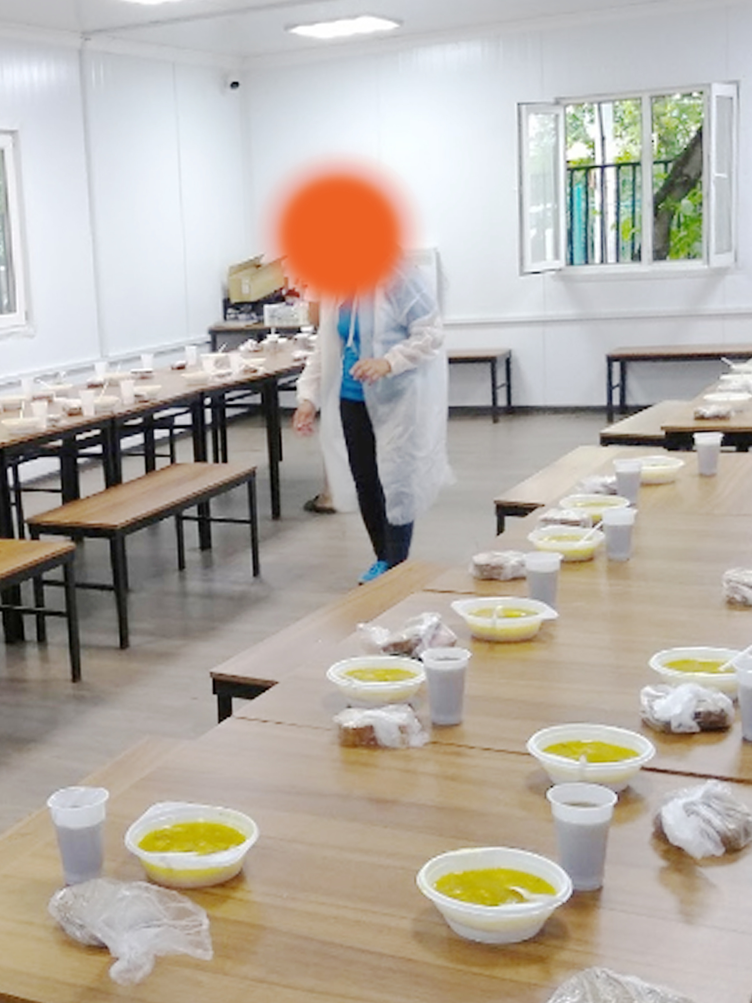 Dogs. Alexander Zorin