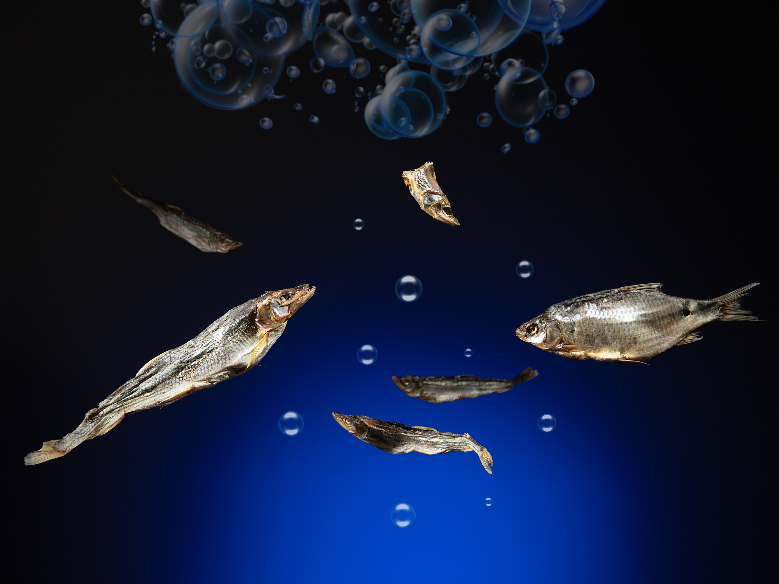 Snack for alcohol № II: dried fish (for beer)