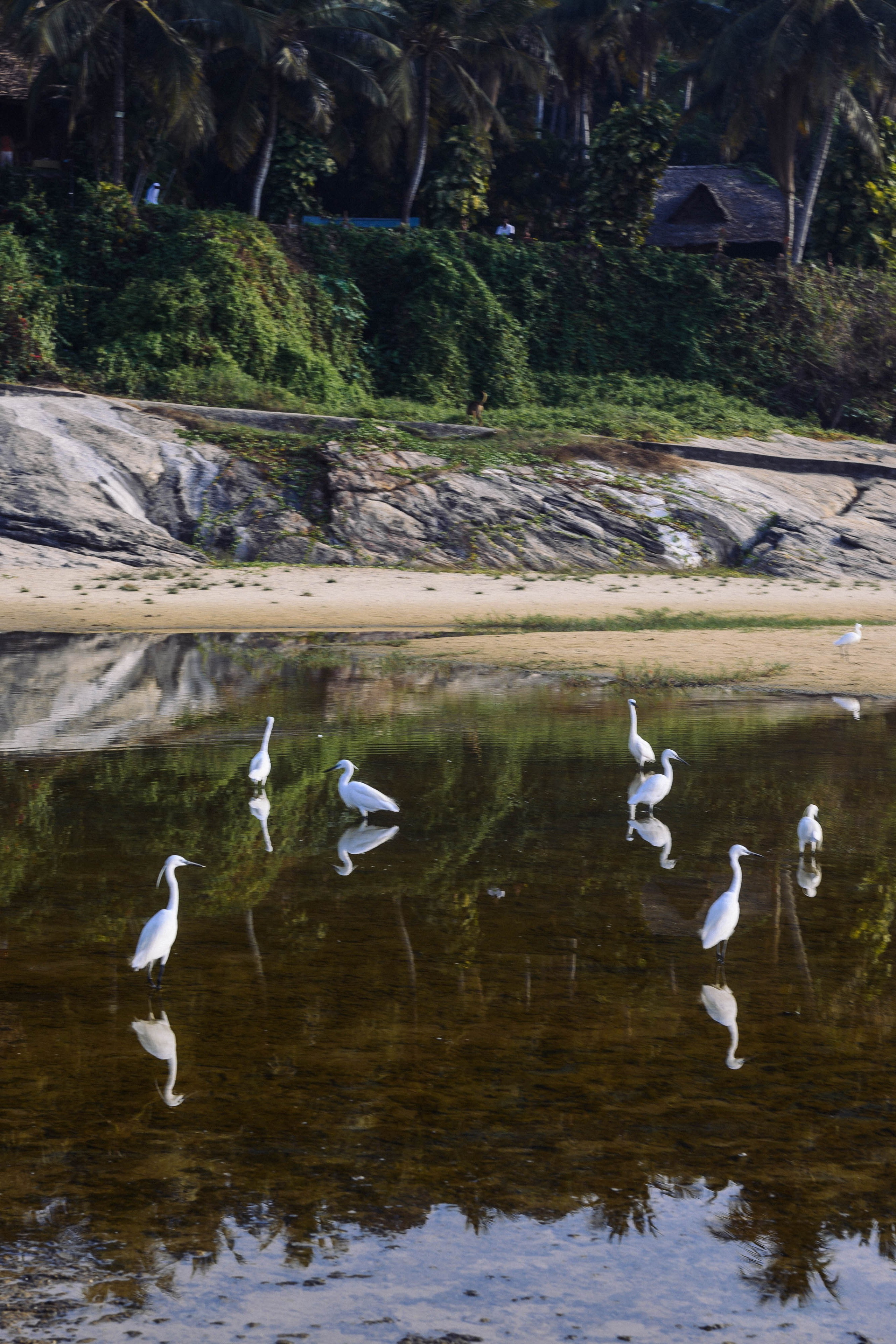 ИНДИЯ. Фотограф Анастасия Броварник в Санкт-Петербурге