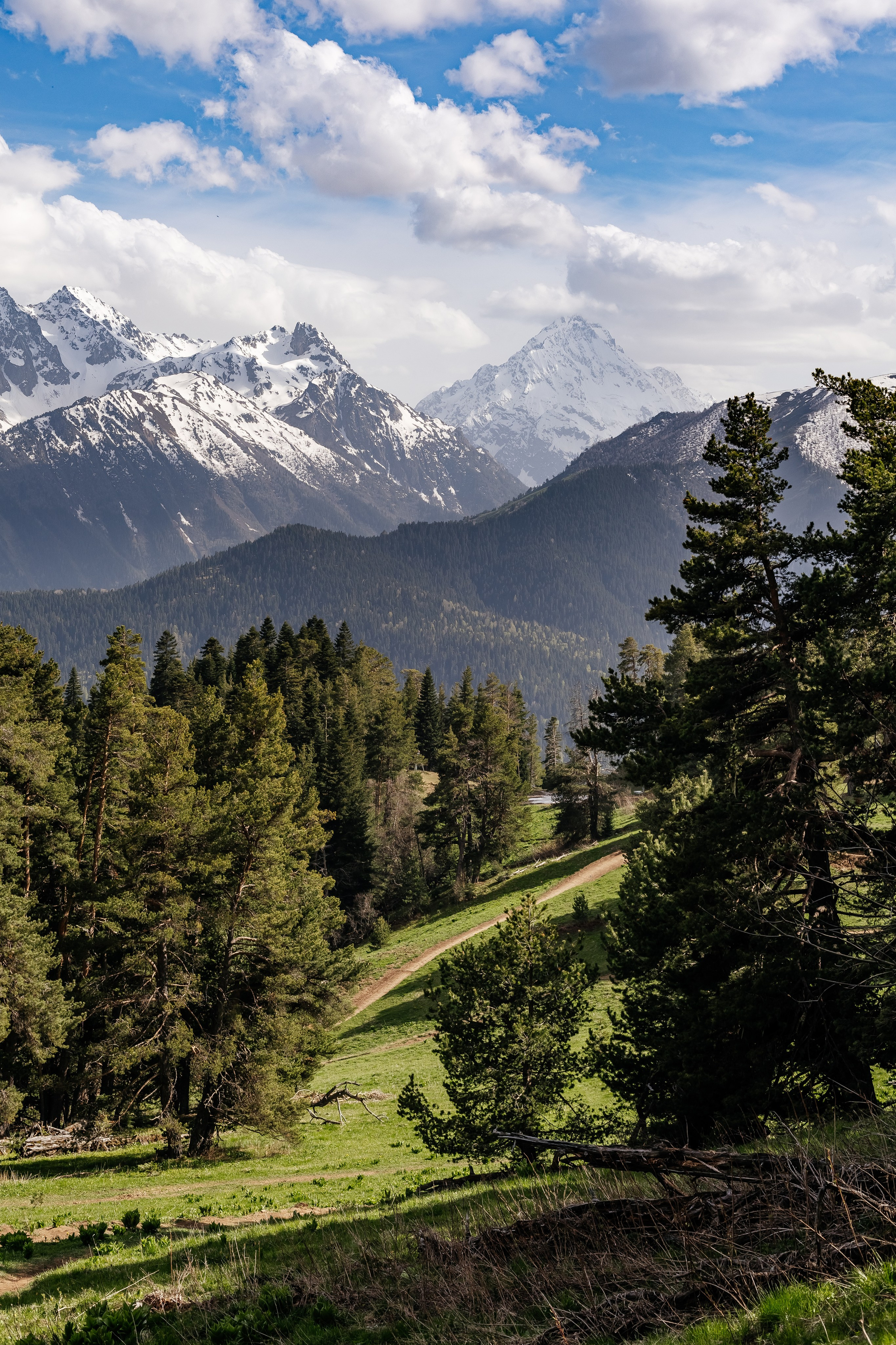 Портфолио animal. Фотограф — анималист Маргарита Хелбен Краснодар