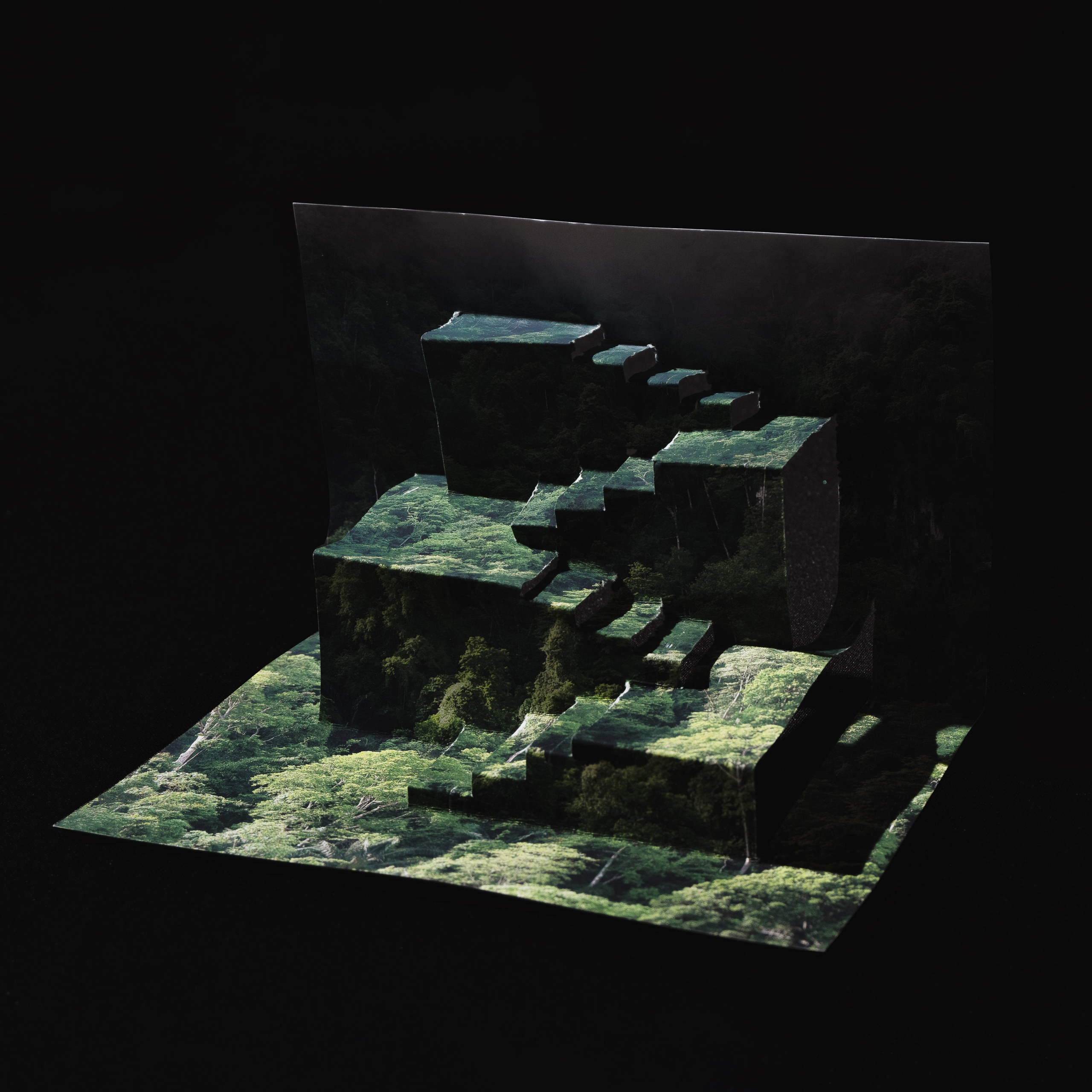 Chronicles of transformation. Irina Borodina