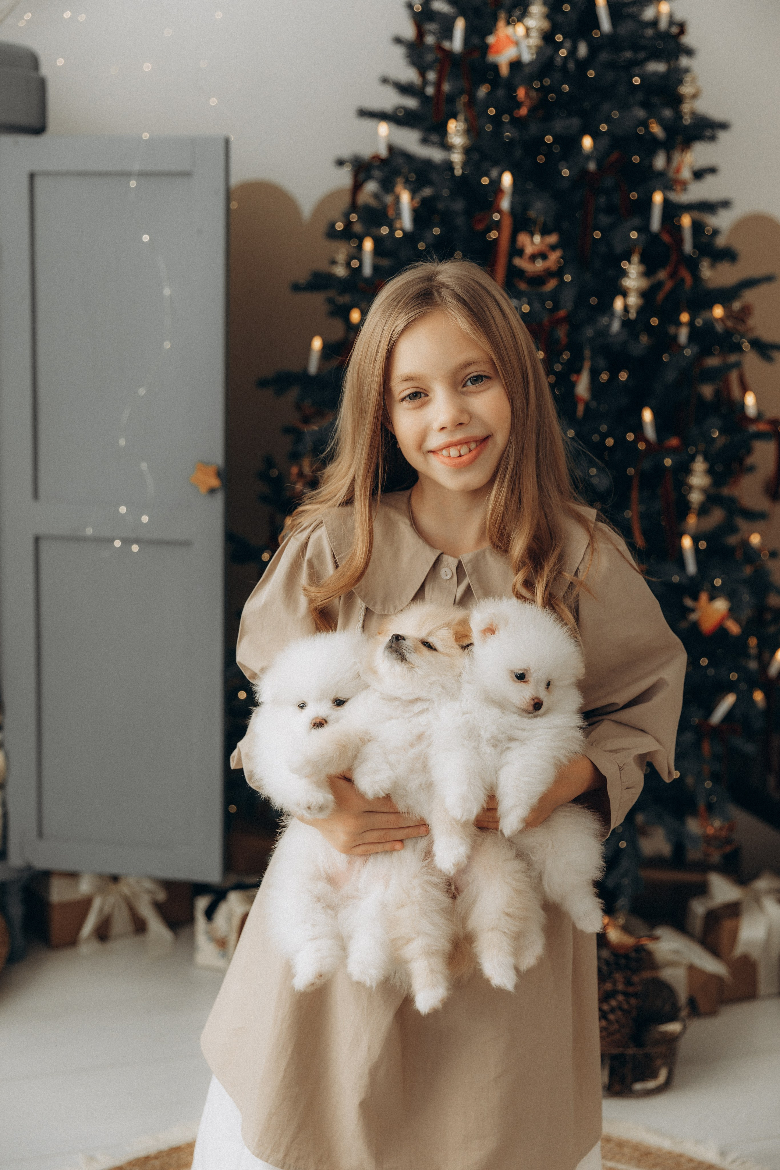 🐶Новогодний со щенками шпица🐶. First-foto.ru