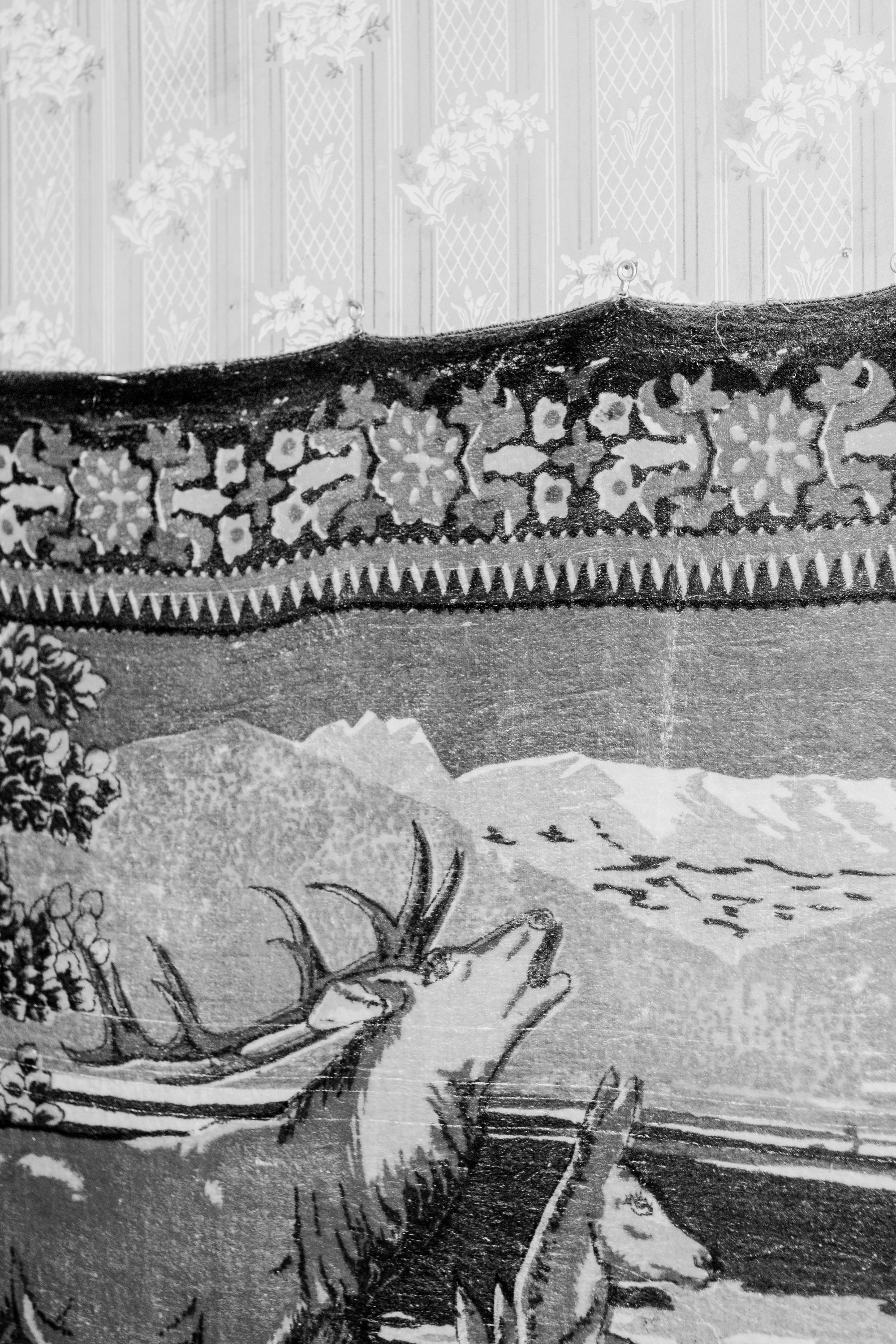 Shunya. Kristina Sergeeva