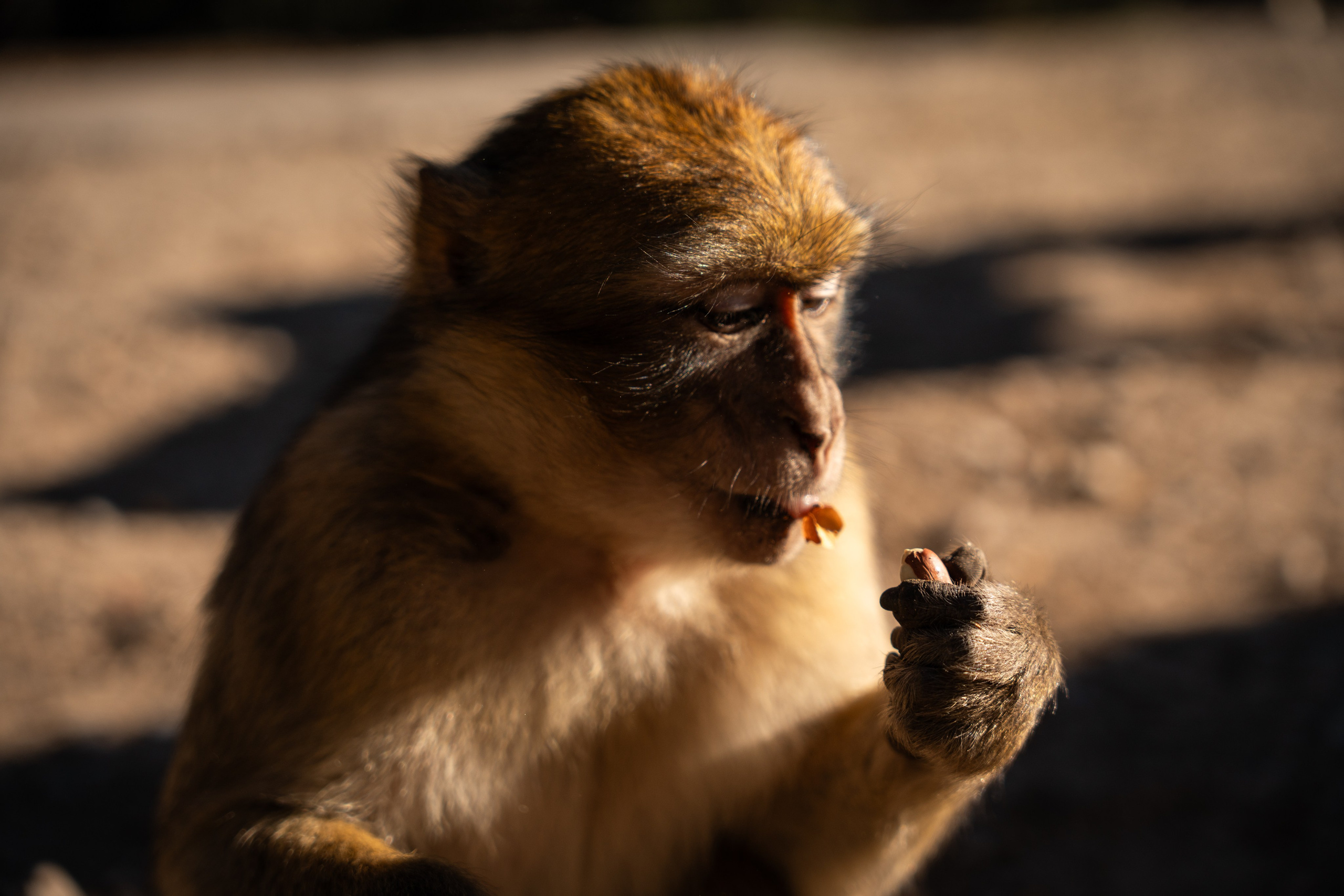 Марокко. Илья Варин — Фотограф Москва, Тверь