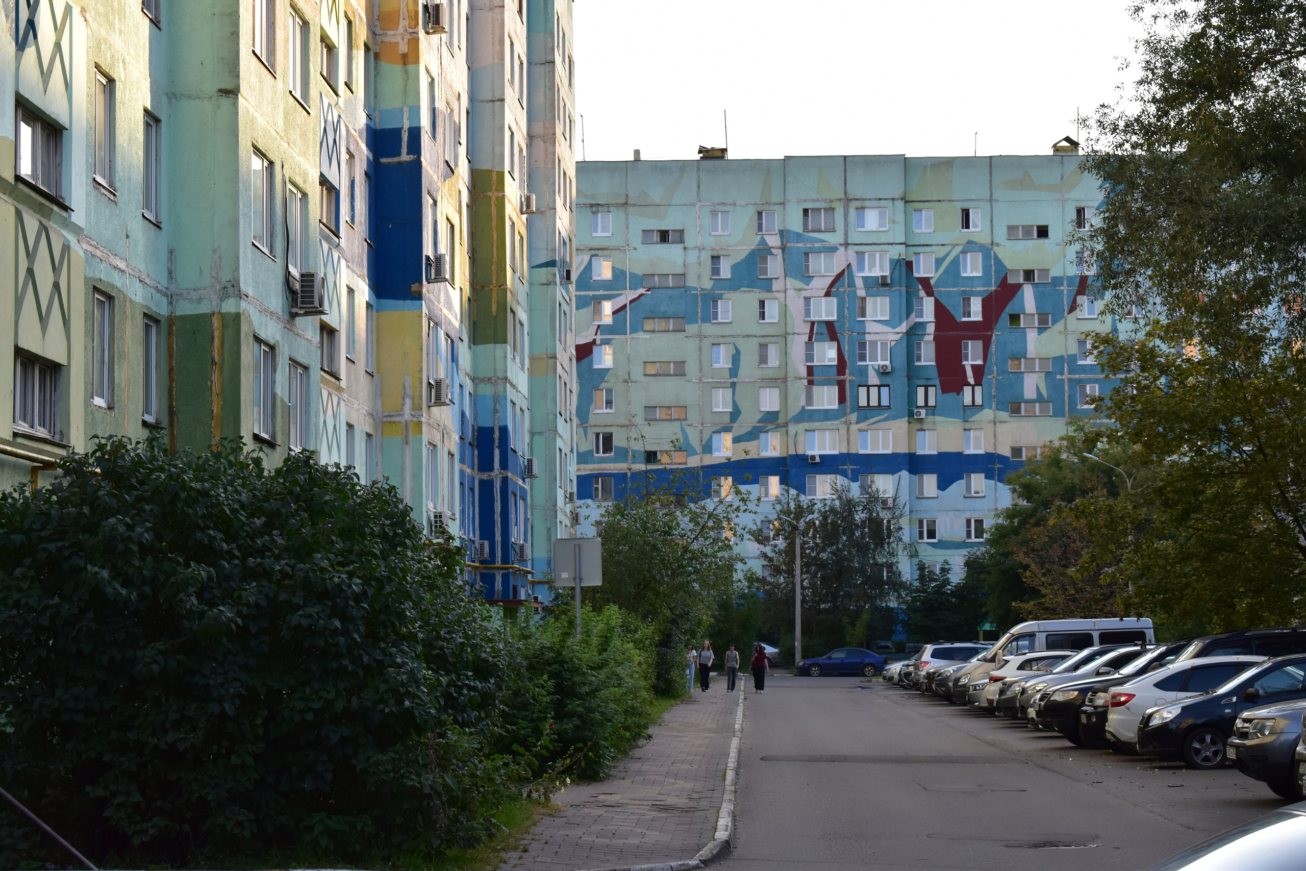 Лето 2025. Фотограф Анатолий Мелентьев