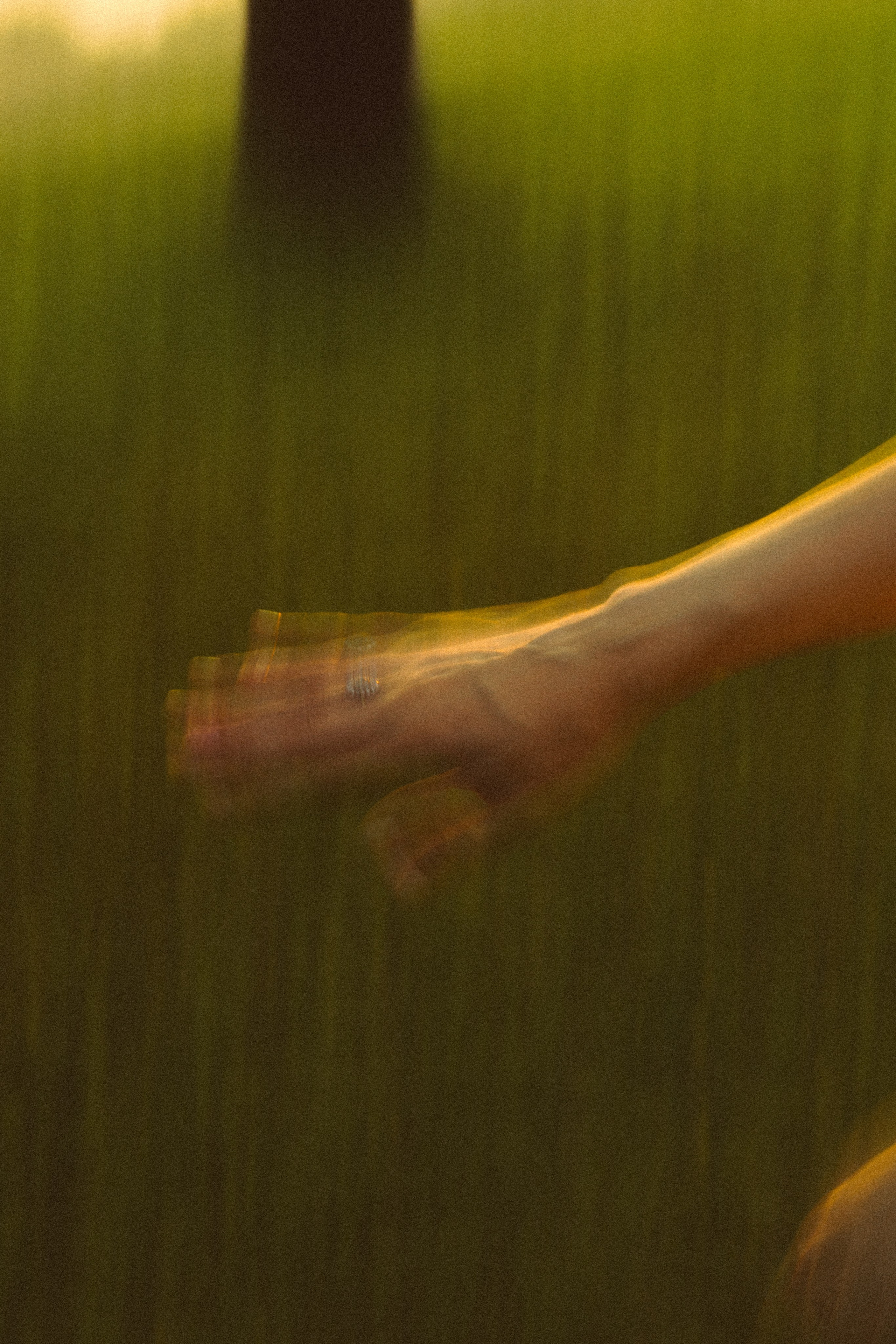 Свадебный фотограф в Санкт-Петербурге Баженова Алина