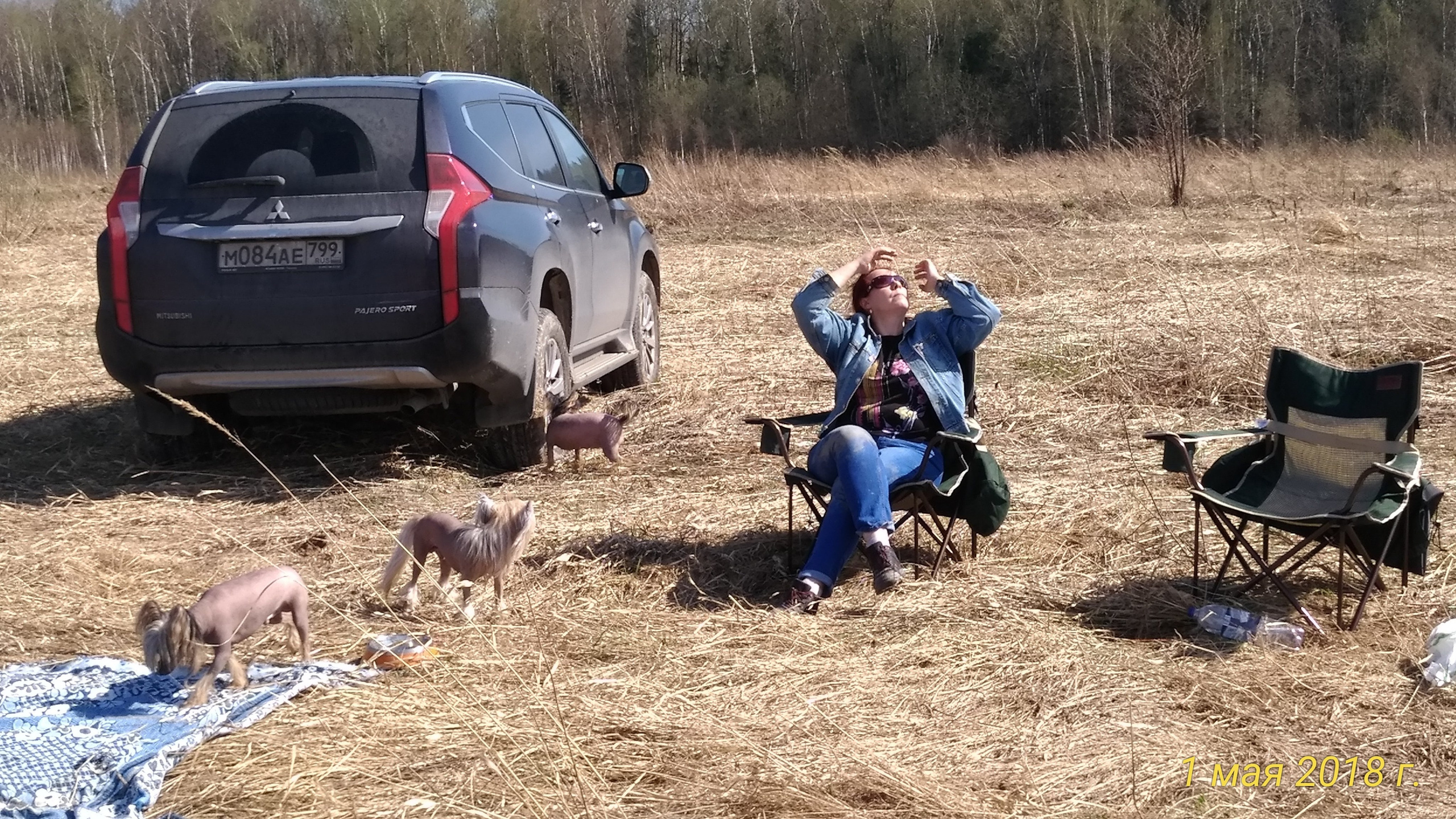Adventure May 1, 2018 or a nursery on a walk. Chinese Crested Dog Kennel Poale Ell