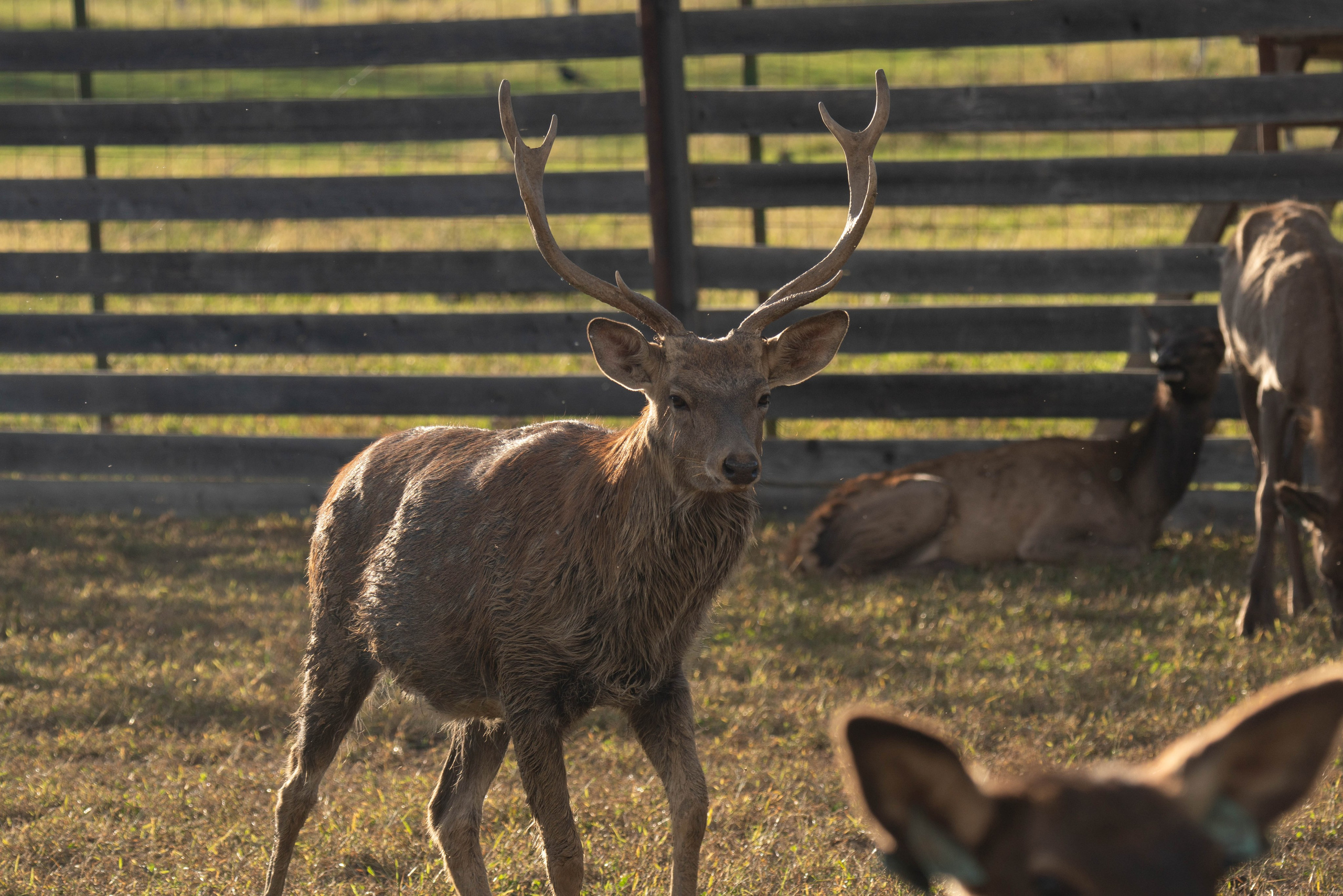 Проекты. Gusarov Travel Photography