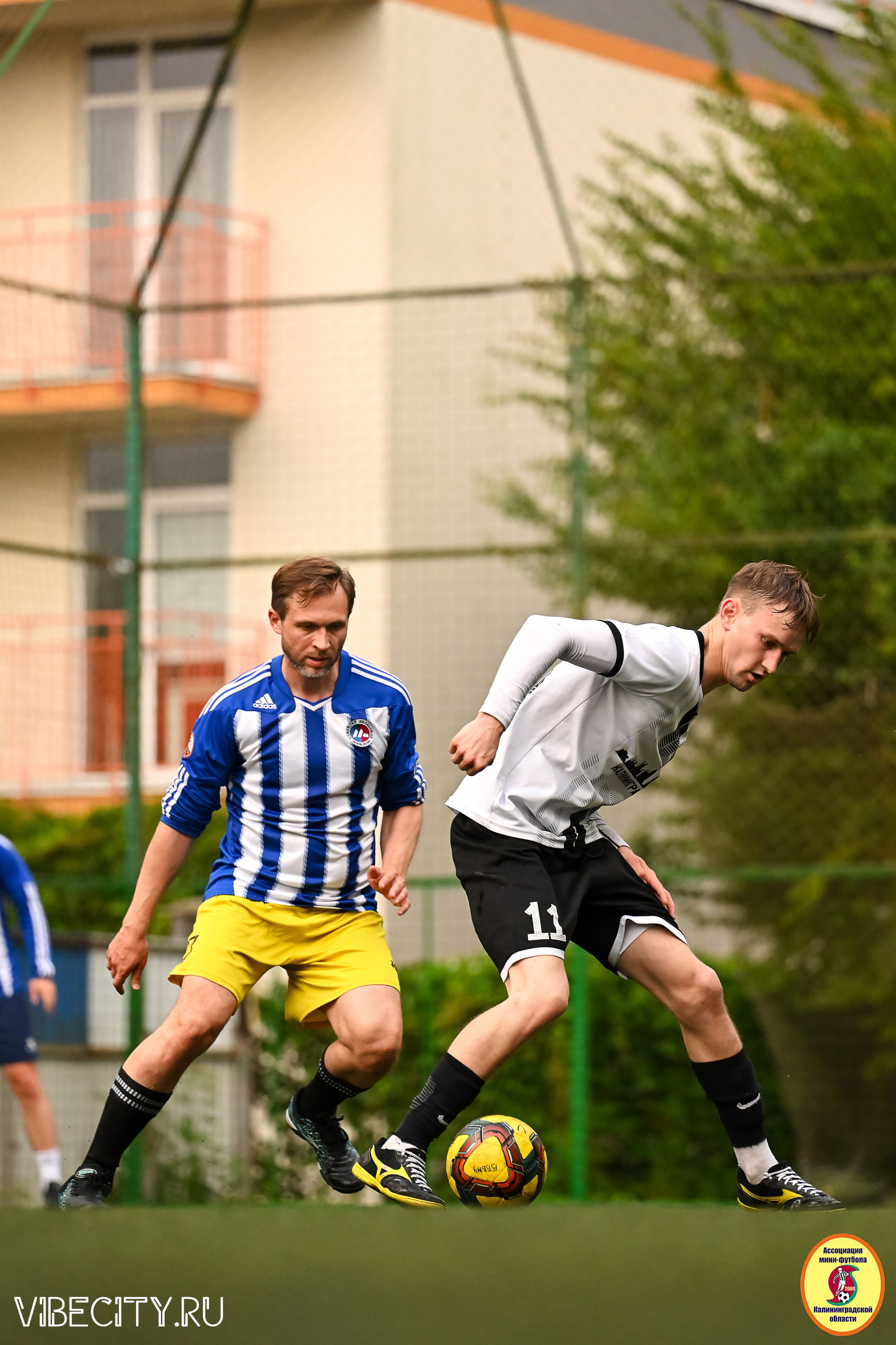 ИГРЫ МИНИ-ФУТБОЛЬНОЙ И КОРПОРАТИВНОЙ ЛИГИ. VIBECITY.RU Вайб Сити Ру Фоторепортажи Фотоотчеты Калининград