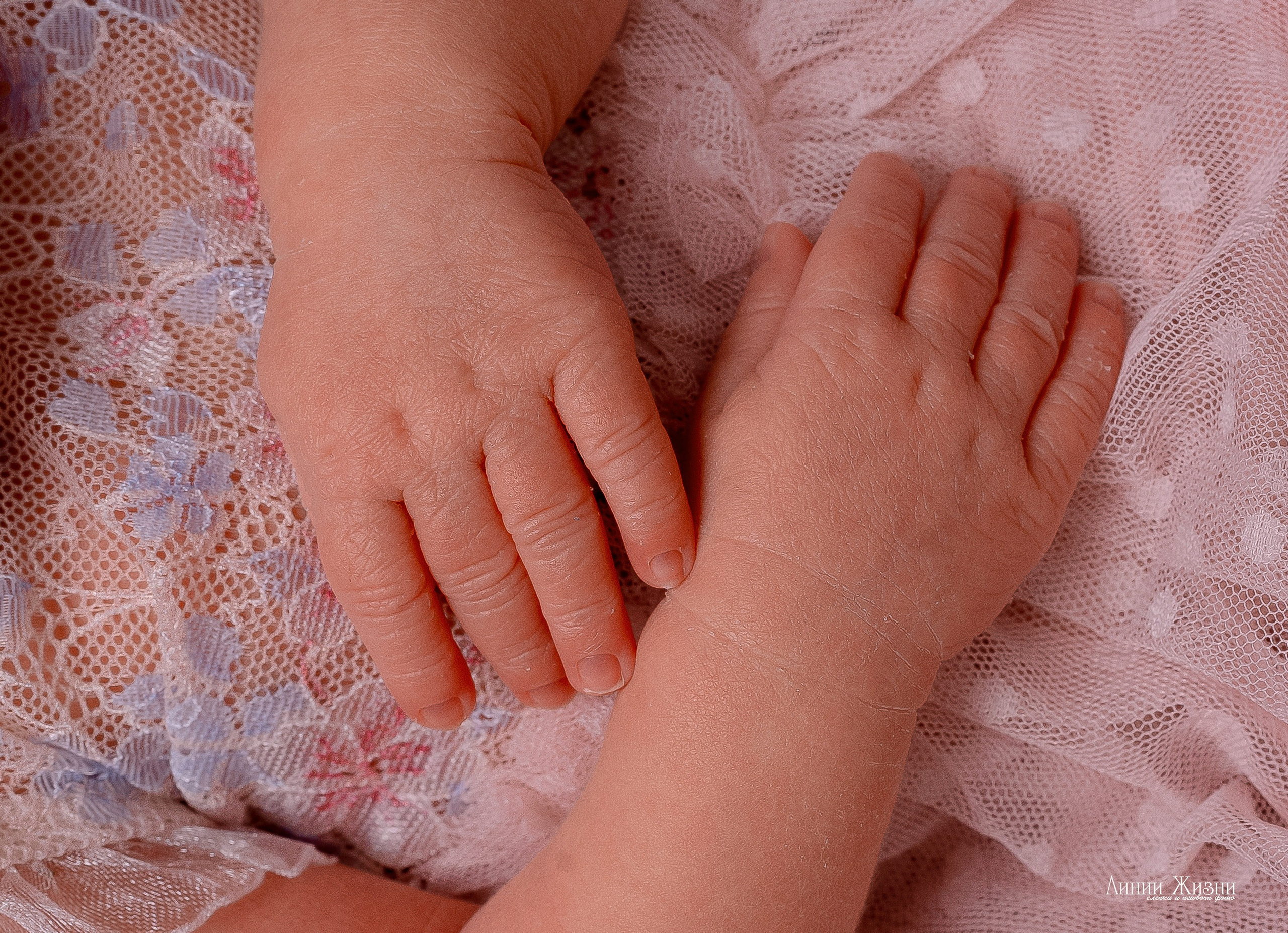 Кира 6 дней. Фотограф новорожденных в Нижнем Новгороде Сергеева Оксана