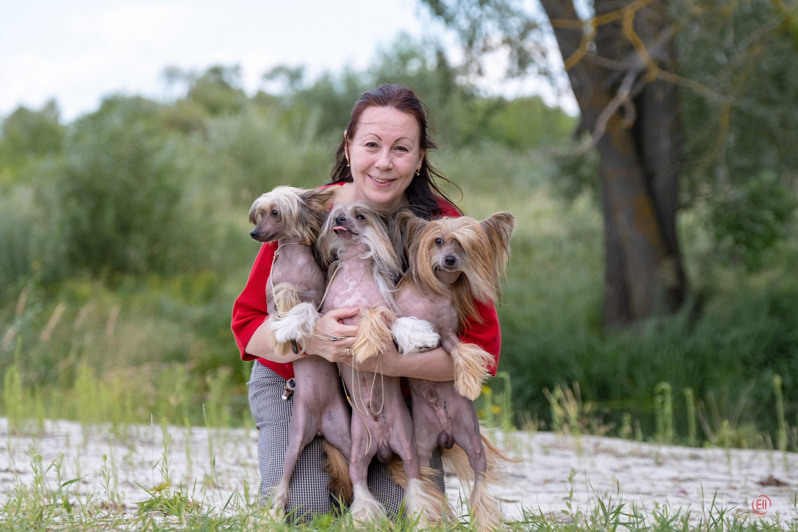 Липецк. Выставка собак. Питомник китайских хохлатых собак Poale Ell: купить щенка