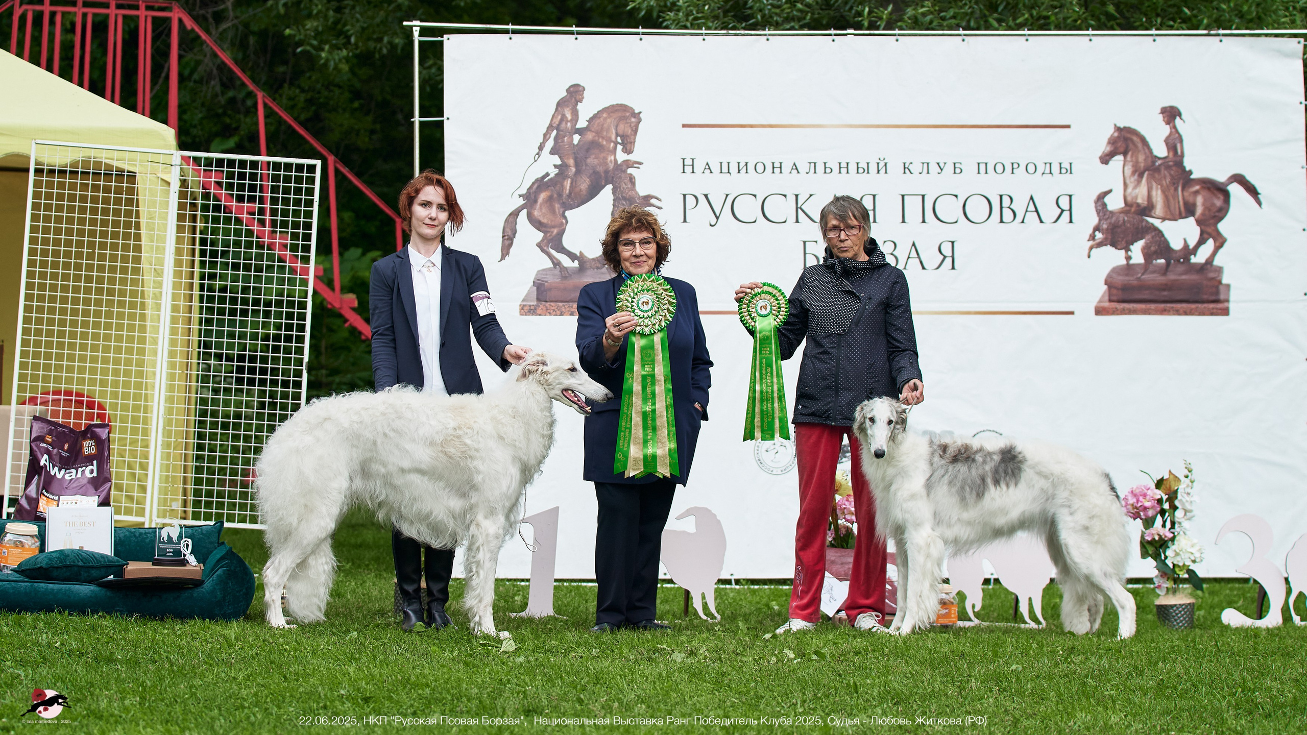 22.06.2025 | Национальная Выставка НКП "Русская Псовая Борзая"