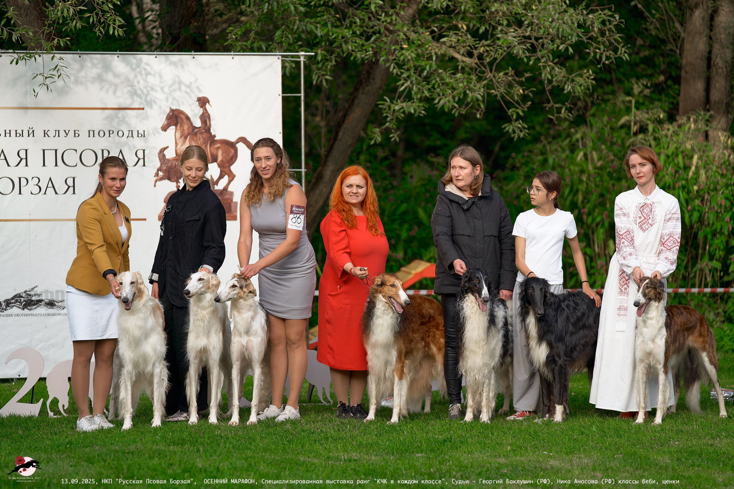 ОСЕННИЙ МАРАФОН | Специализированная выставка породы Русская Псовая Борзая ранг "КЧК в каждом классе"