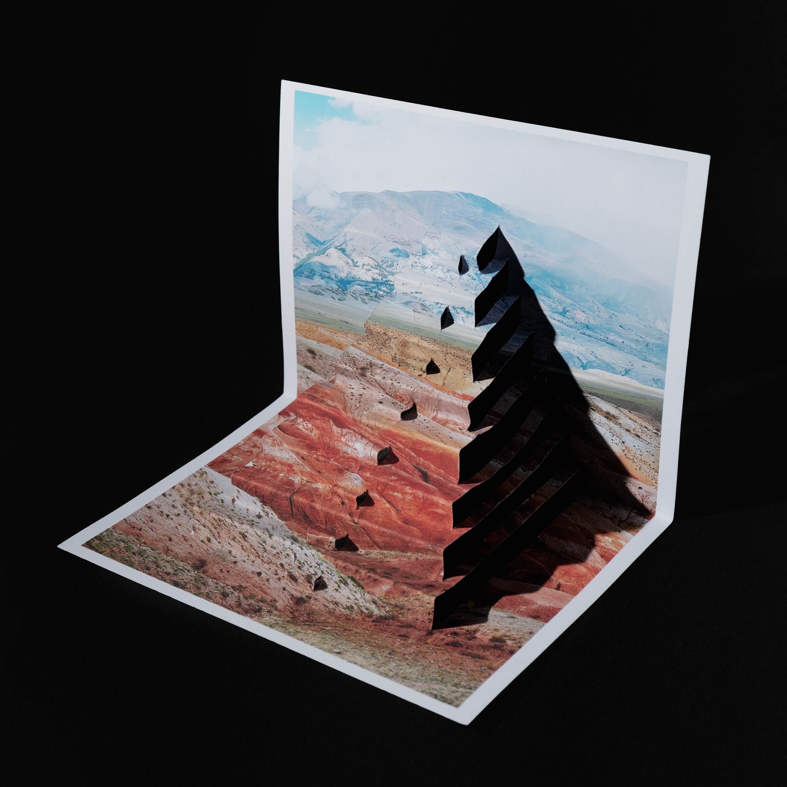 Chronicles of transformation. Irina Borodina