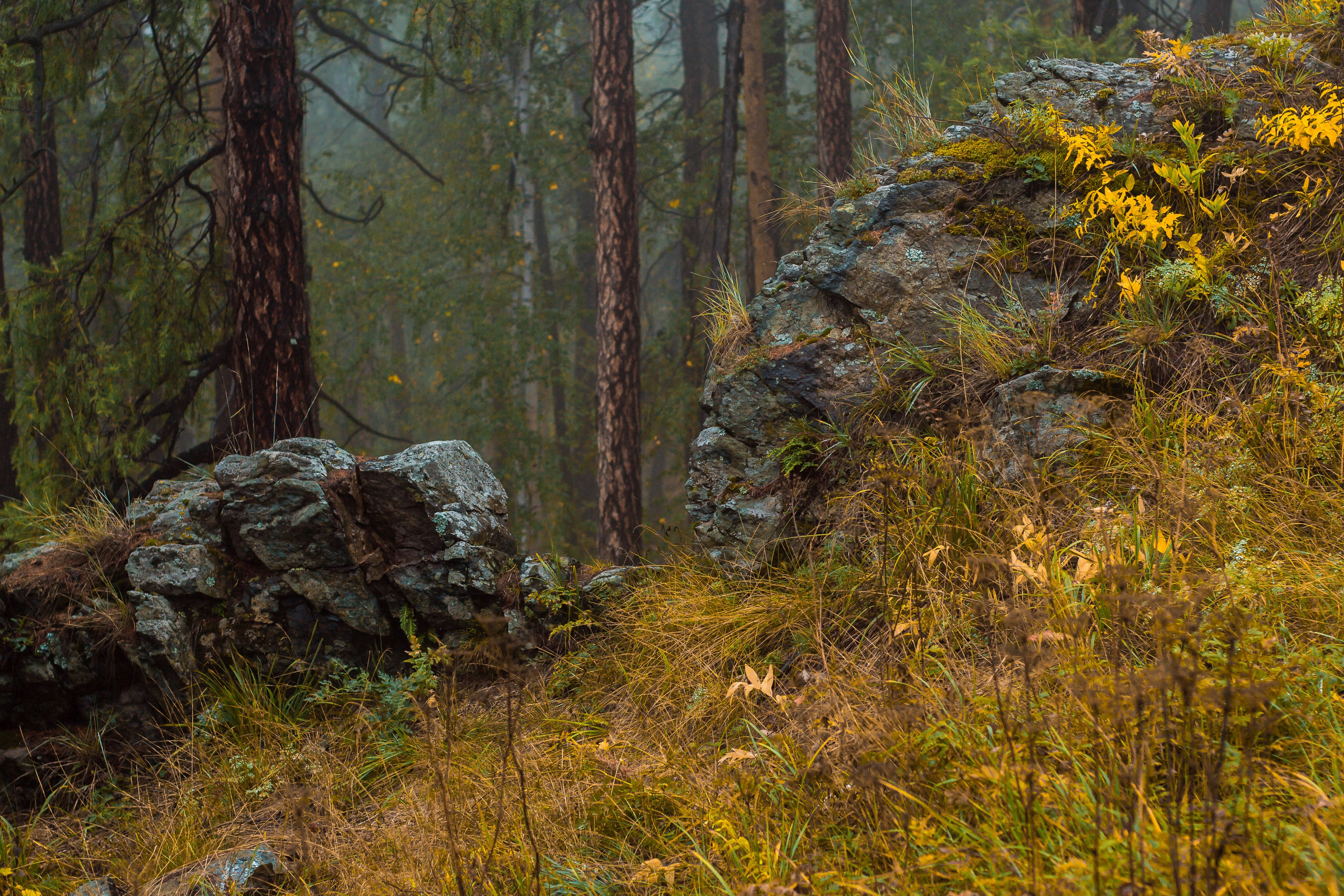 Гора большой Сугомак. Сентябрь, 2023 год. Фотограф Переверзева Анна Екатеринбург