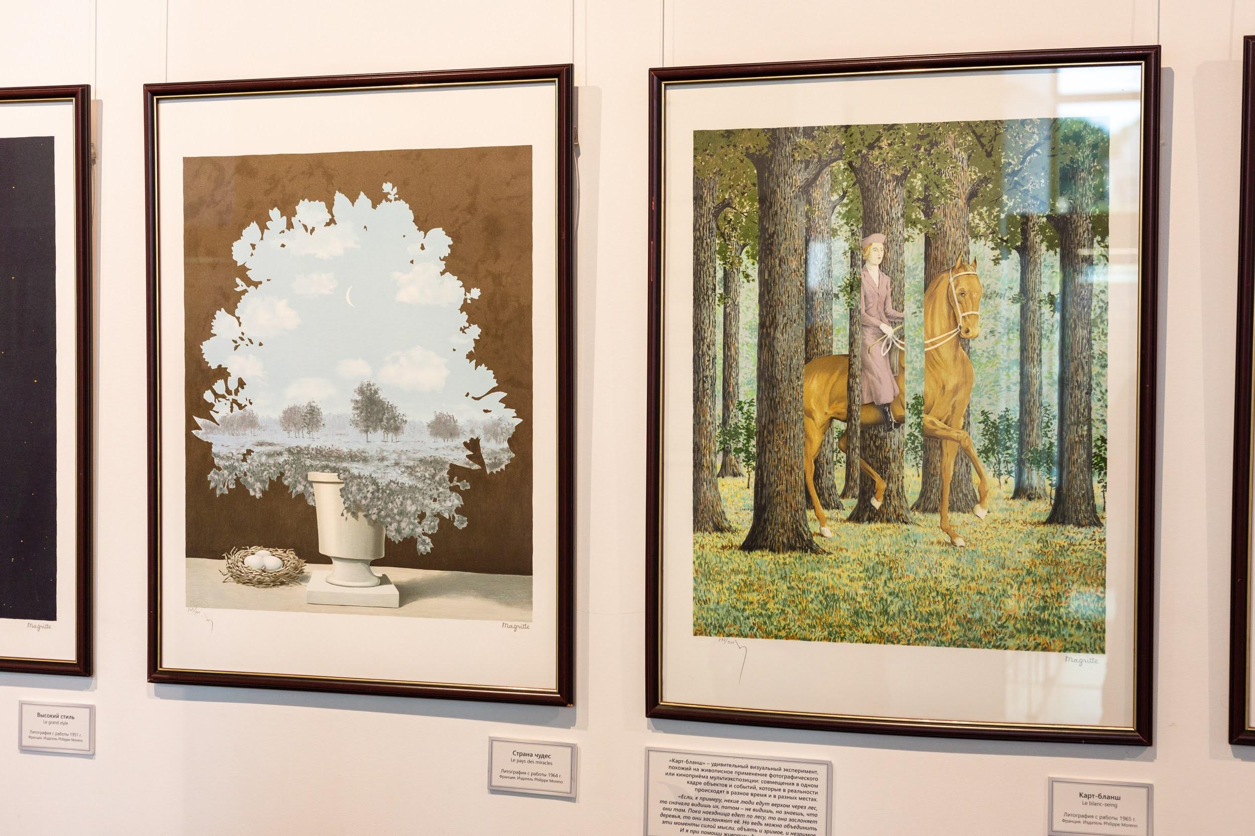 Wystawy. Strona główna