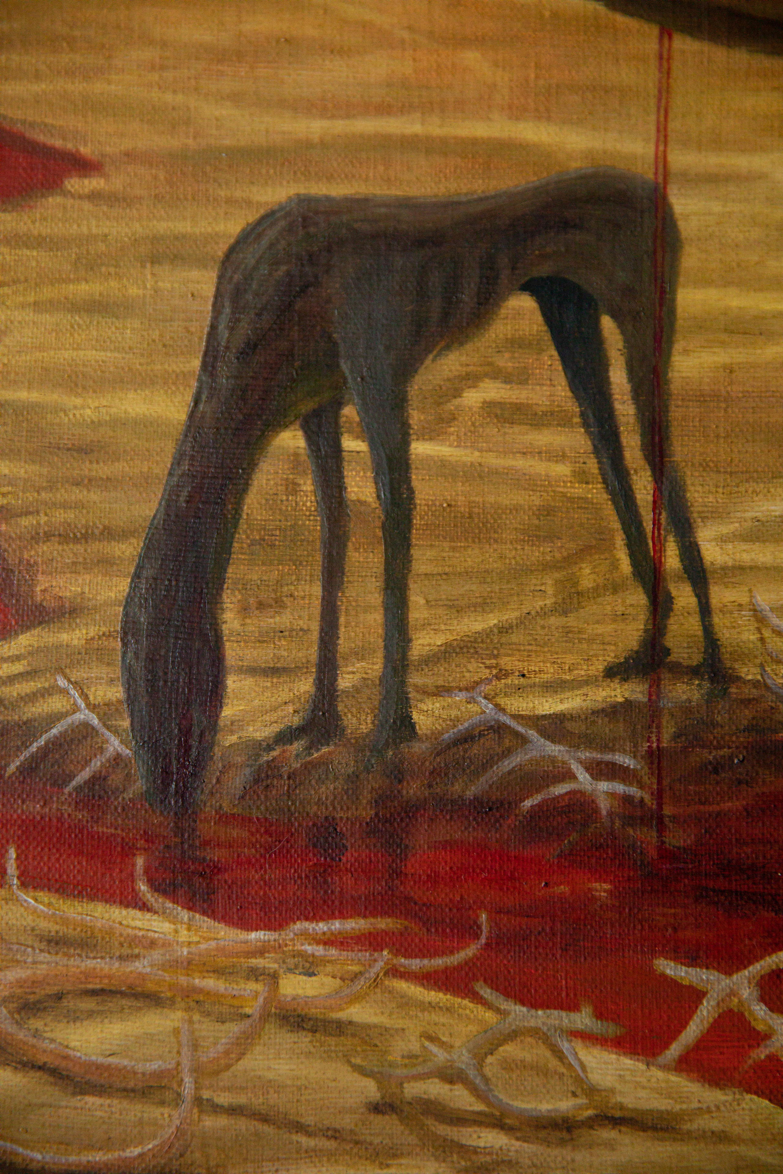 Transformation. Astrakhov Pavel, photographer and artist